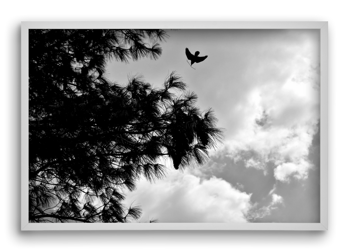 CARE, 60x40 cm (60x40 cm), Fehér keret