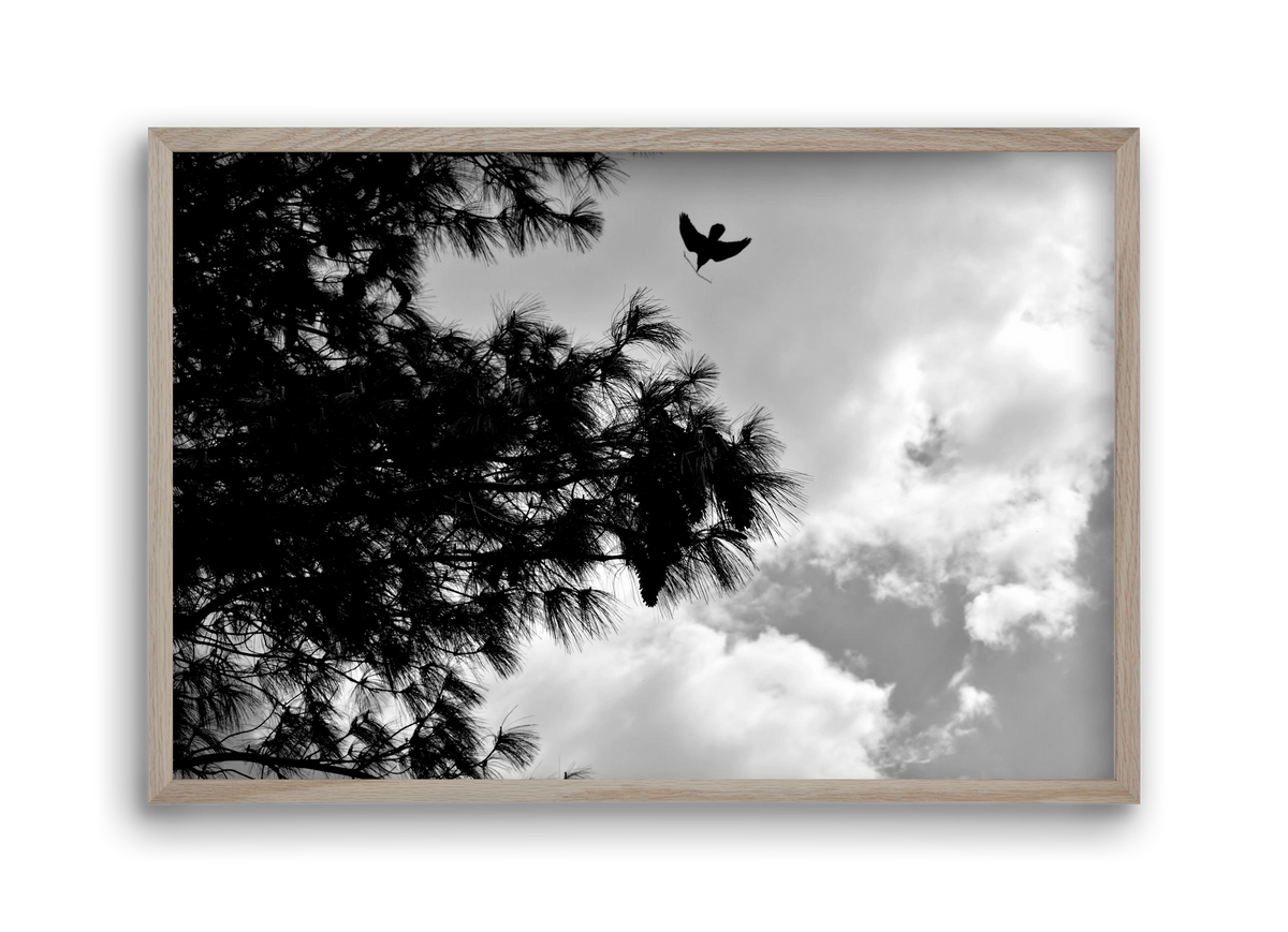 CARE, 45x30 cm (45x30 cm), Tölgy keret