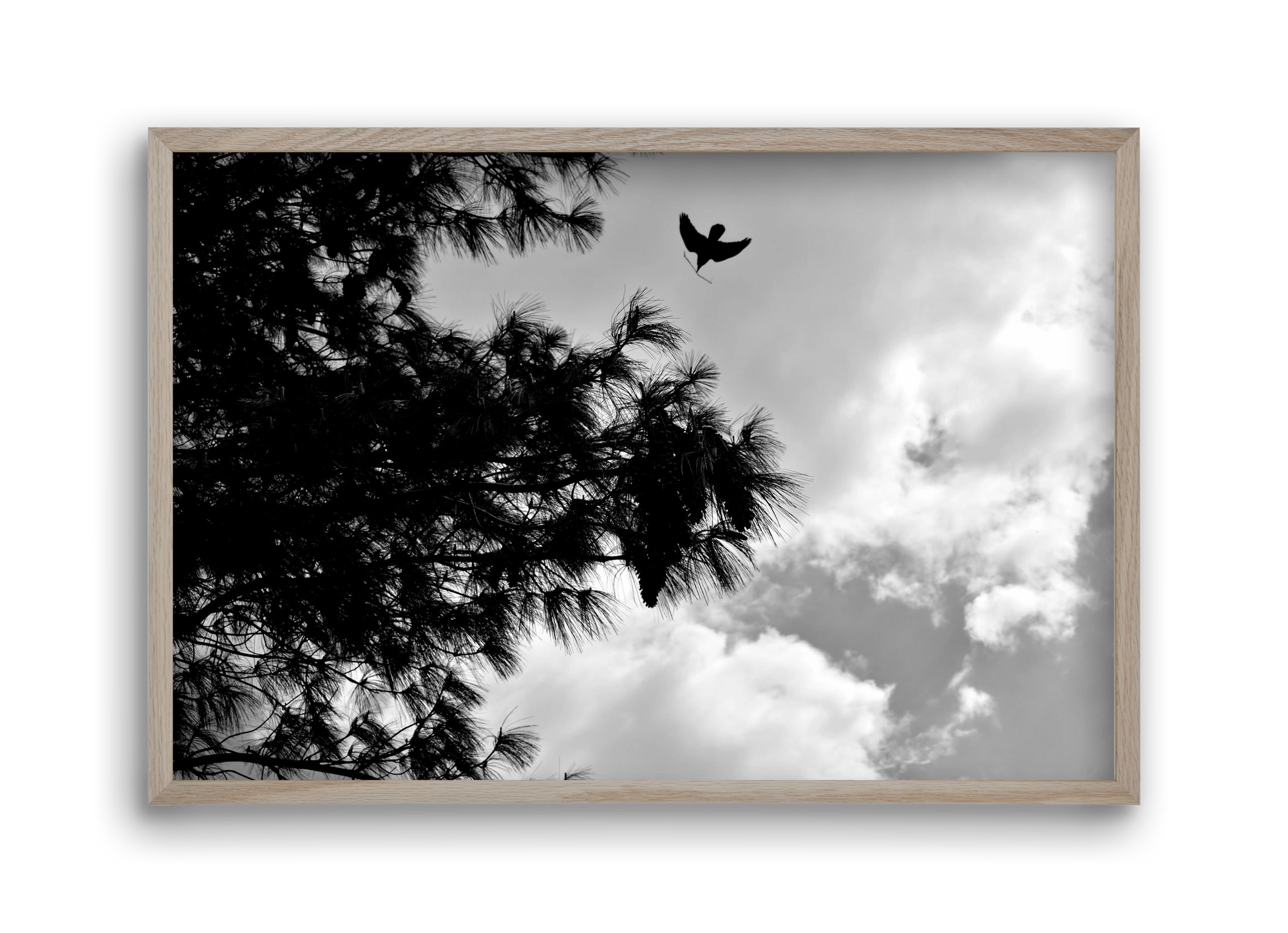 CARE, 45x30 cm (45x30 cm), Tölgy keret