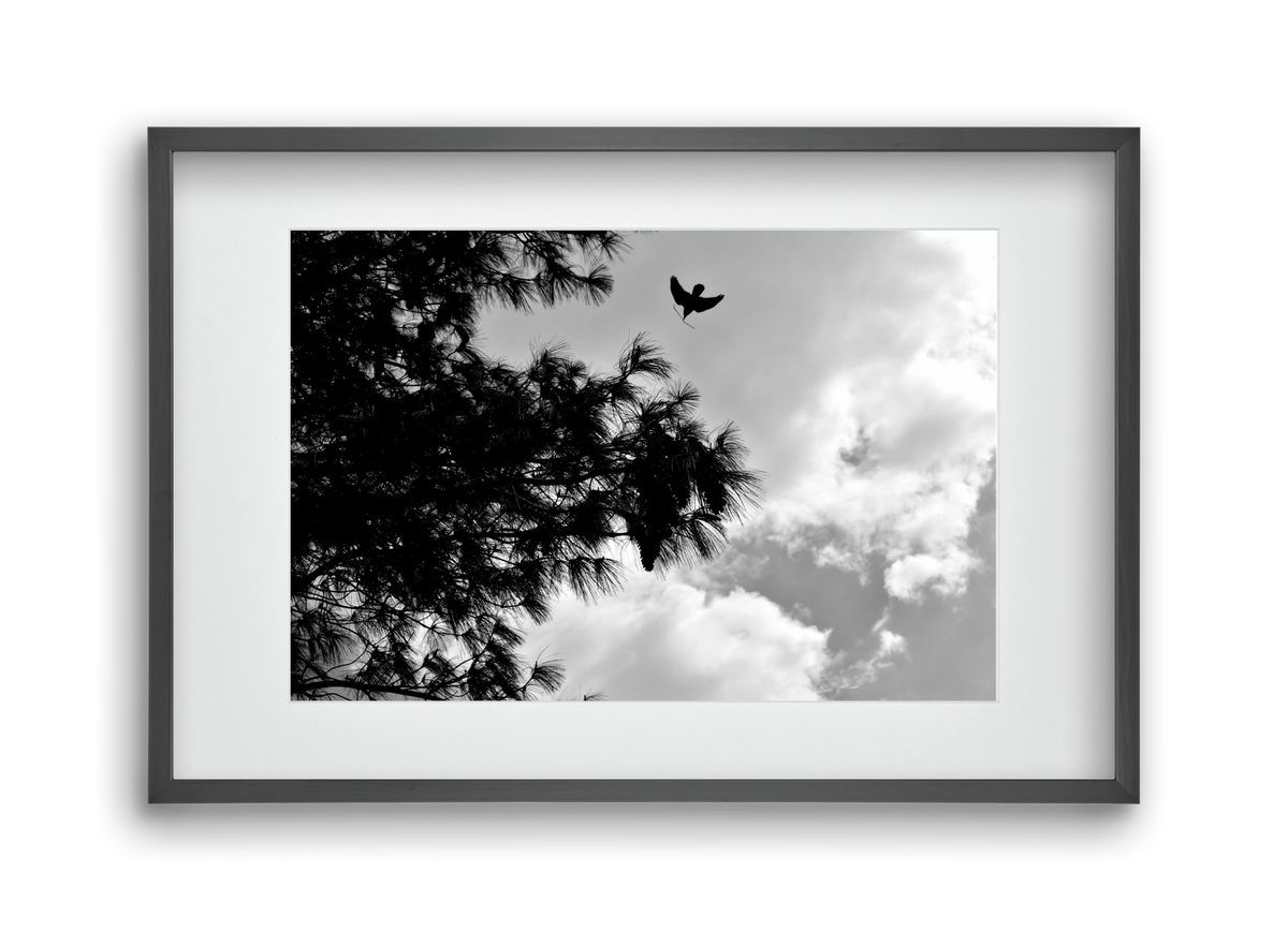 CARE, 45x30 cm (30x20 cm), Fekete keret, paszpartuval