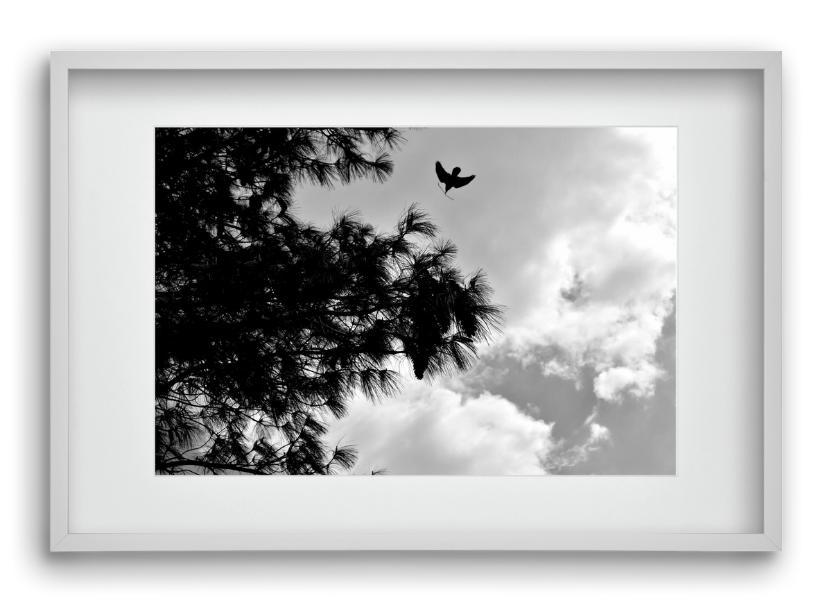 CARE, 60x40 cm (45x30 cm), Fehér keret, paszpartuval