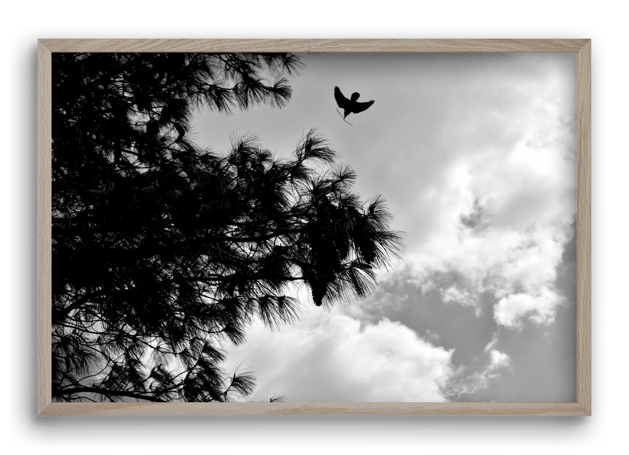 CARE, 60x40 cm (60x40 cm), Tölgy keret