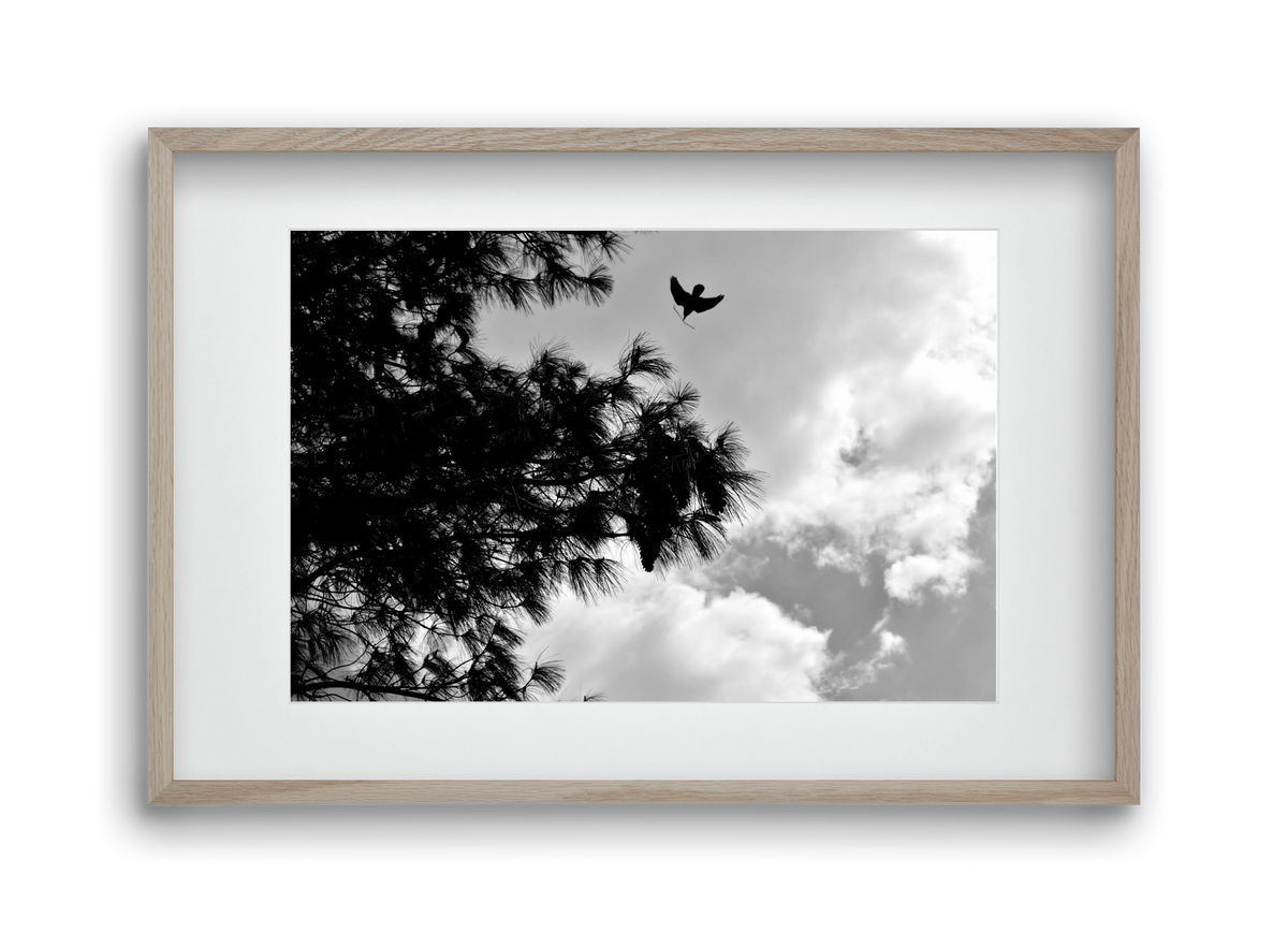 CARE, 45x30 cm (30x20 cm), Tölgy keret, paszpartuval