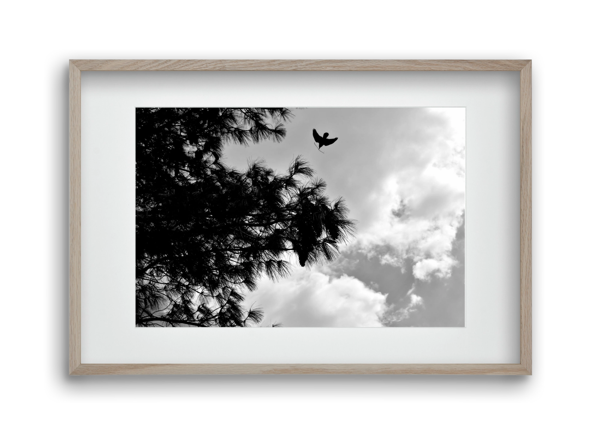 CARE, 45x30 cm (30x20 cm), Tölgy keret, paszpartuval