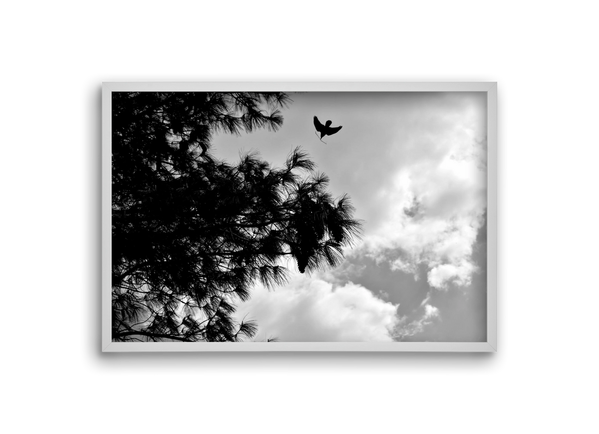 CARE, 30x20 cm (30x20 cm), Fehér keret