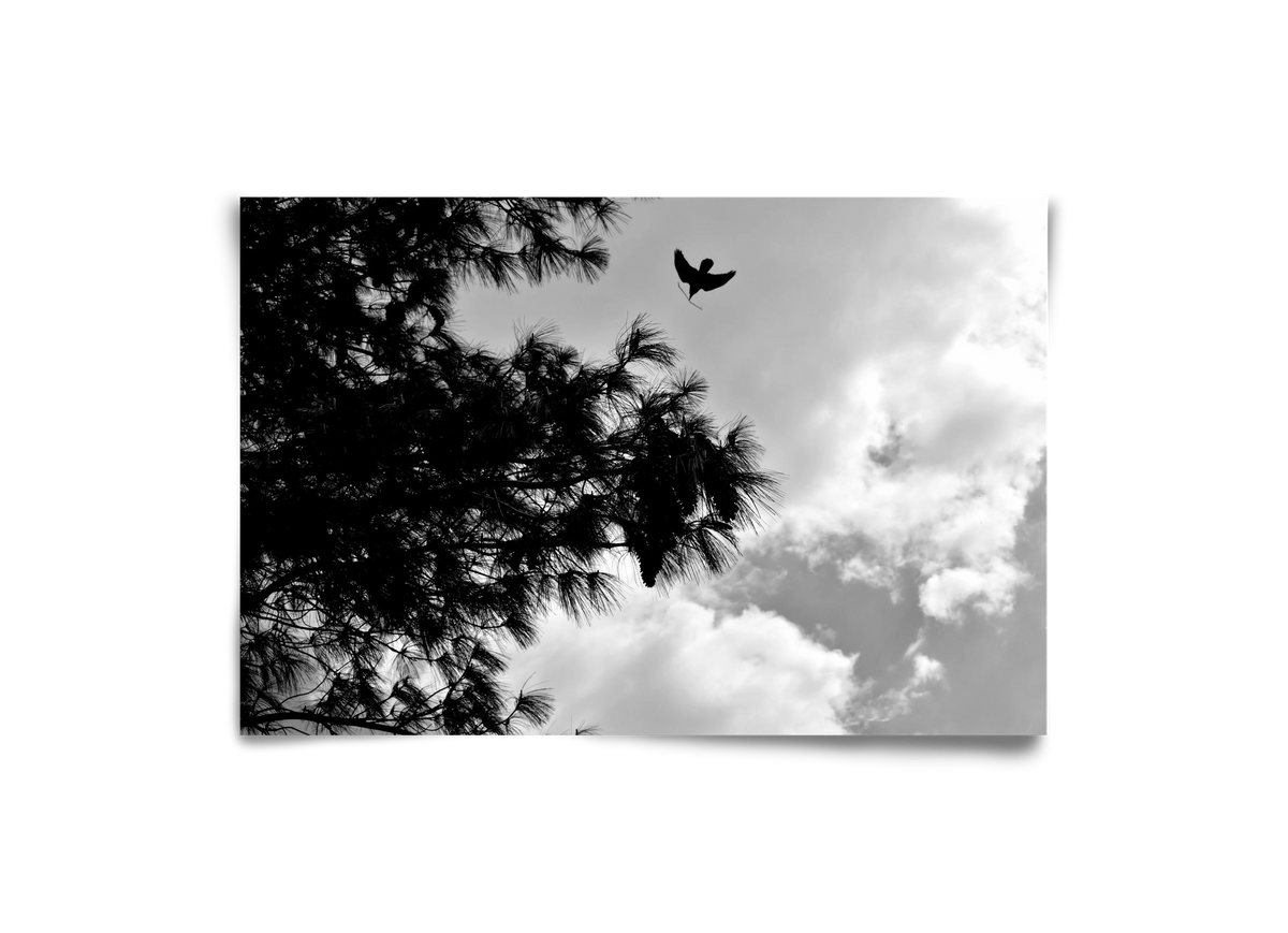 CARE, 30x20 cm, Keret nélkül