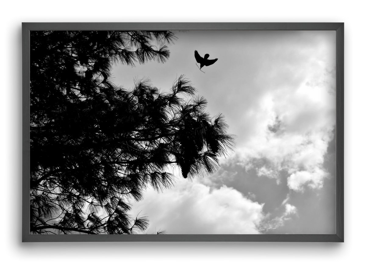 CARE, 60x40 cm (60x40 cm), Fekete keret