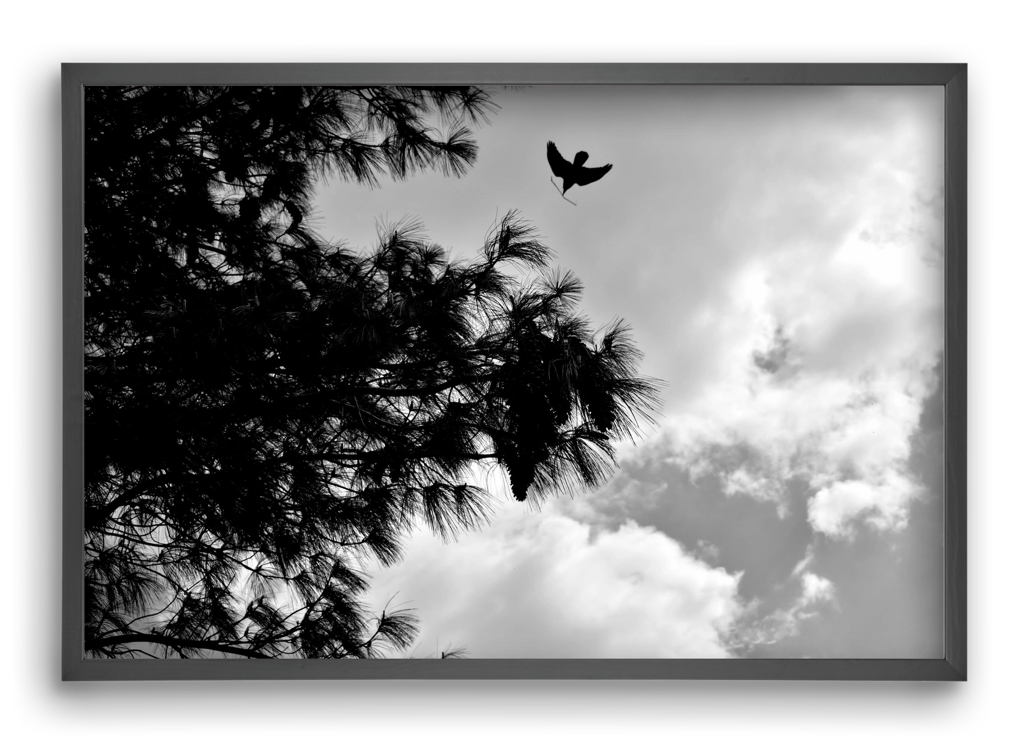 CARE, 60x40 cm (60x40 cm), Fekete keret