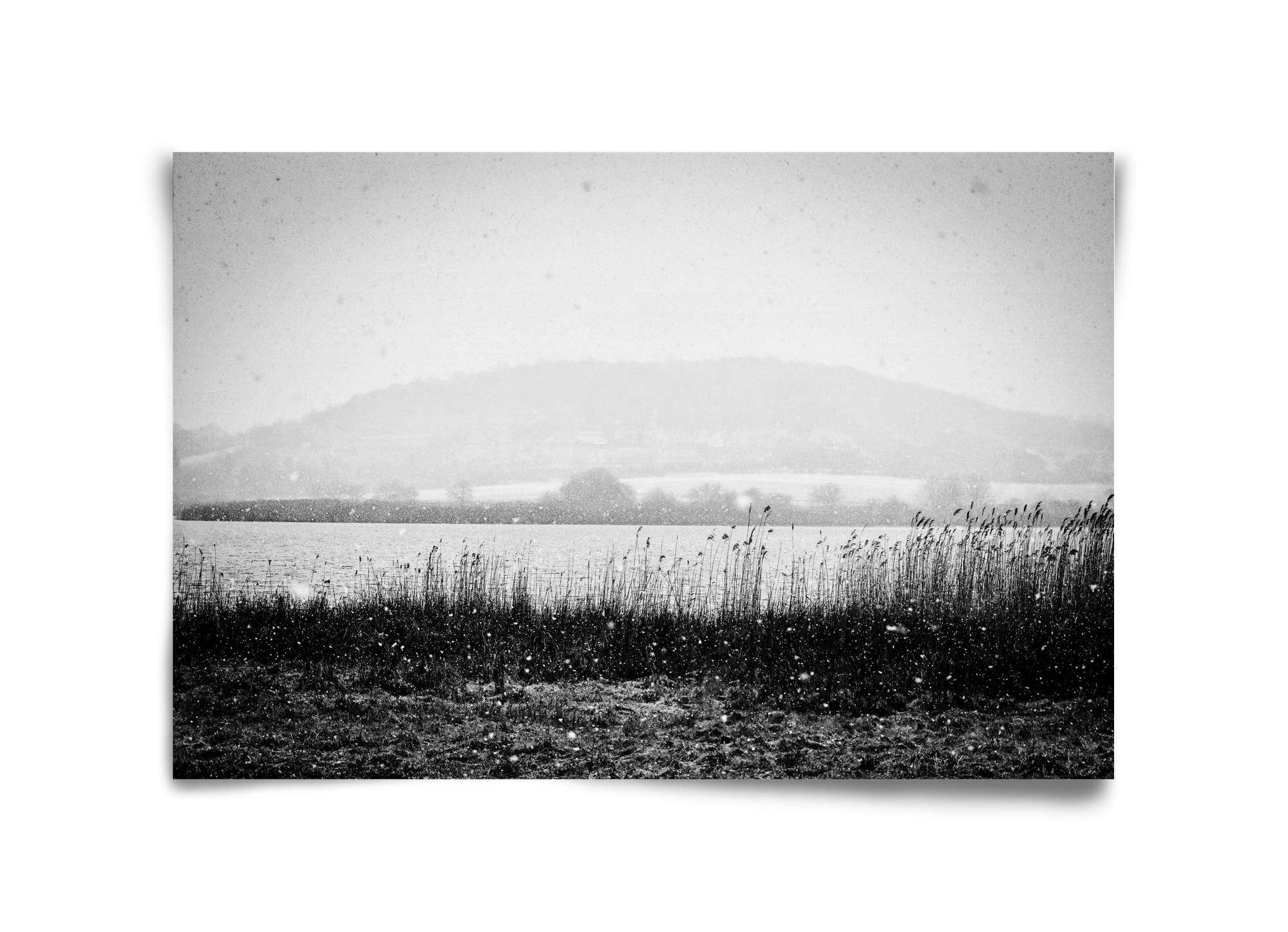 Internal, 45x30 cm, Keret nélkül