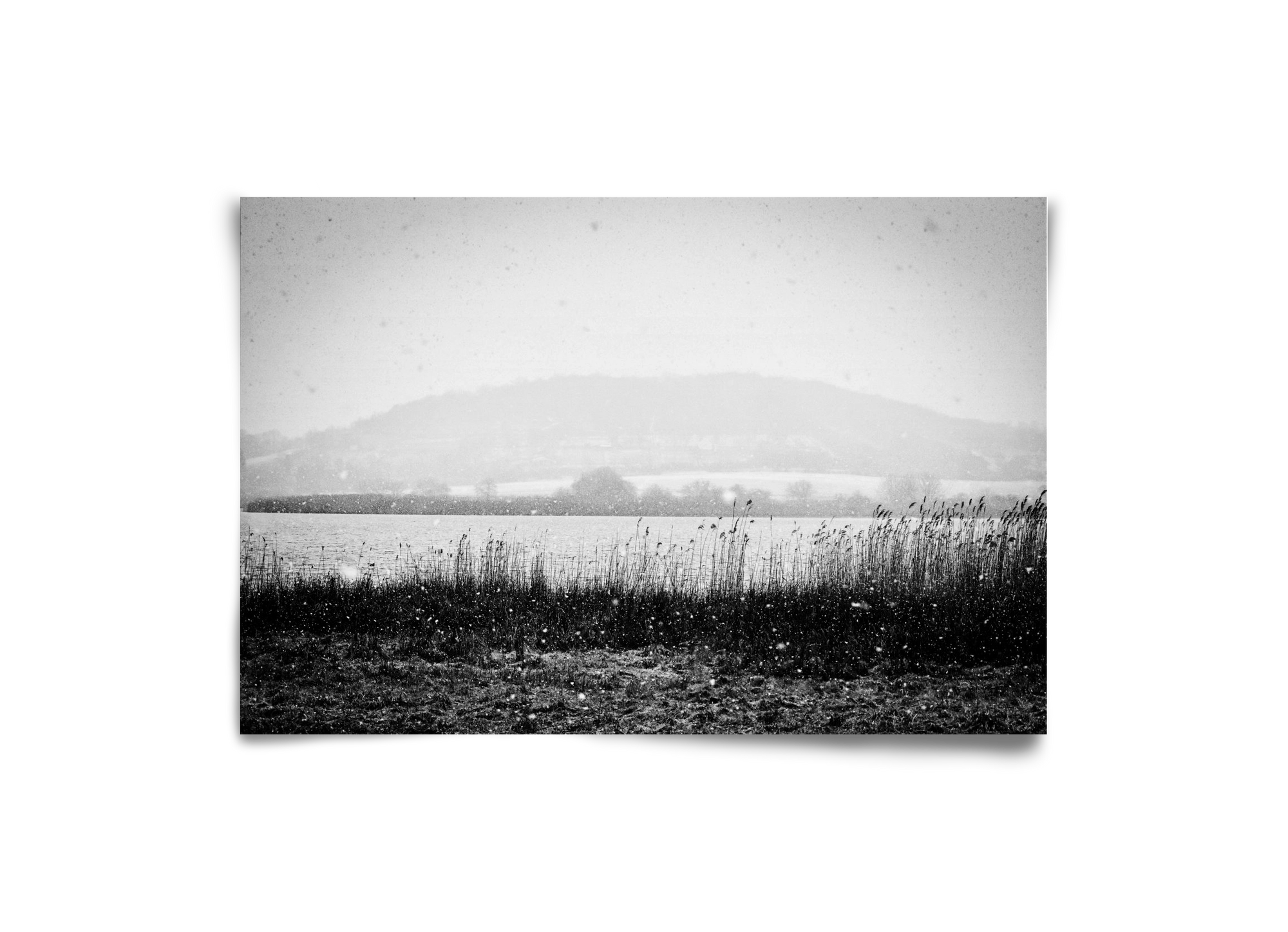 Internal, 30x20 cm, Keret nélkül