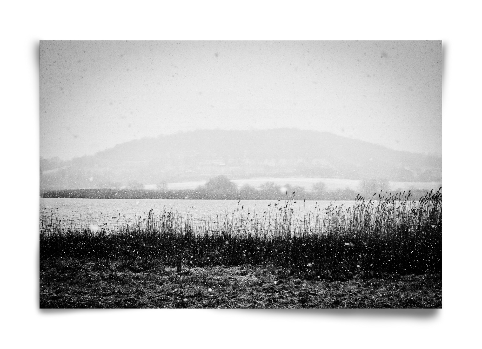 Internal, 60x40 cm, Keret nélkül