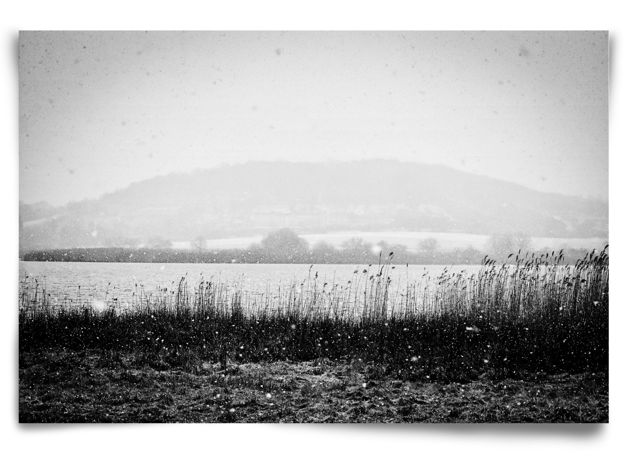 Internal, 90x60 cm, Keret nélkül