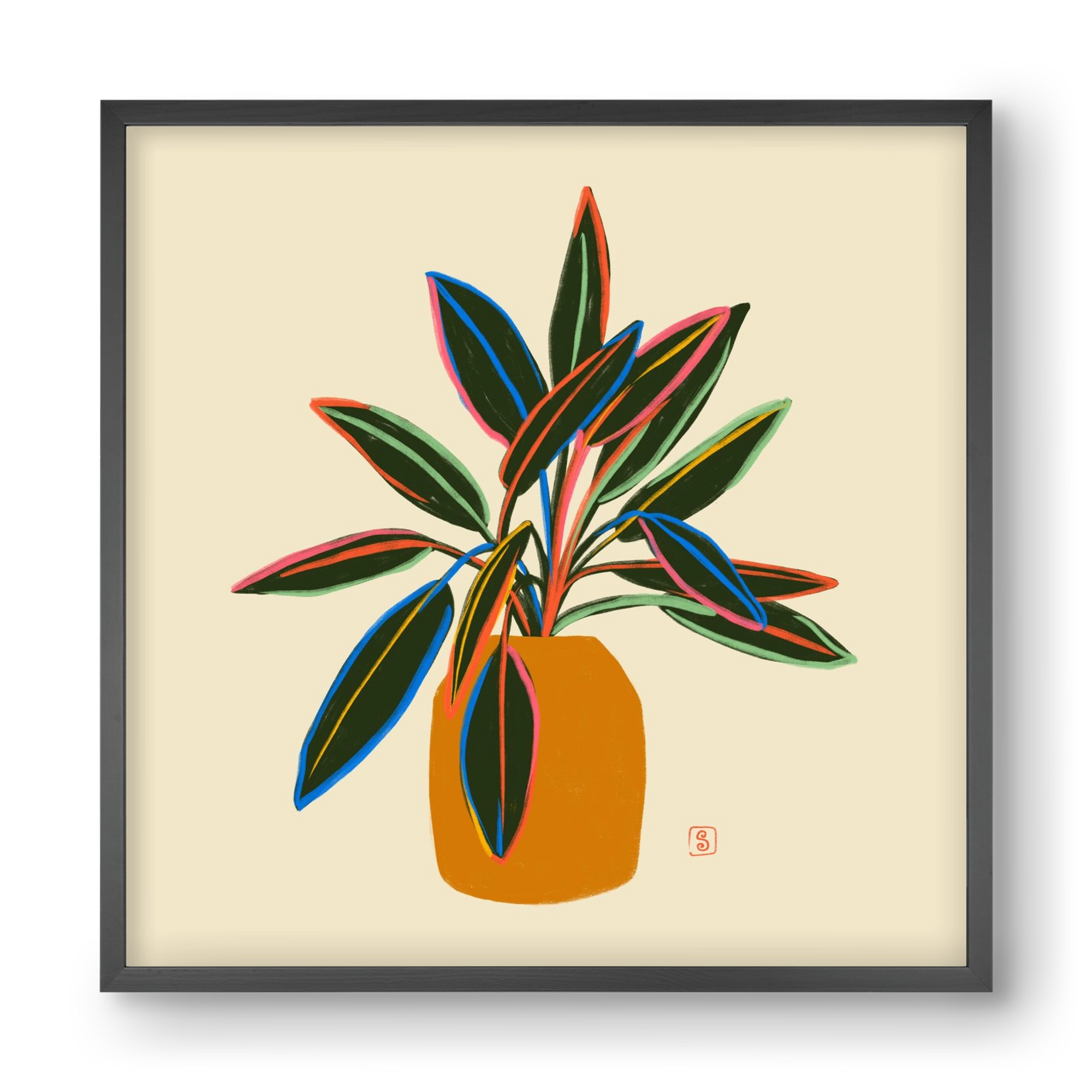 PLANT WITH COLOURFUL LEAVES, 40x40 cm (40x40 cm), Fekete keret