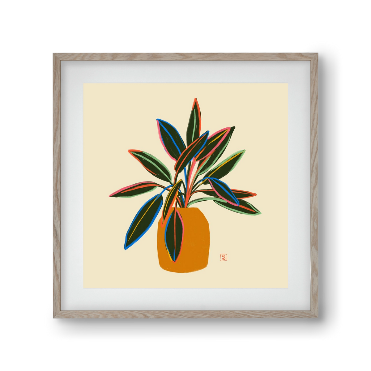 PLANT WITH COLOURFUL LEAVES, 30x30 cm (20x20 cm), Tölgy keret, paszpartuval