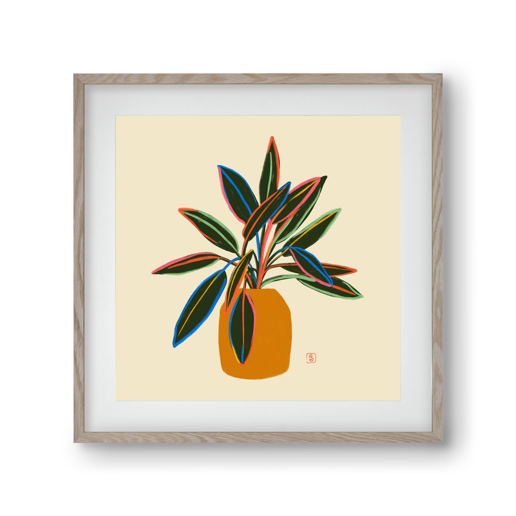 PLANT WITH COLOURFUL LEAVES, 30x30 cm (20x20 cm), Tölgy keret, paszpartuval