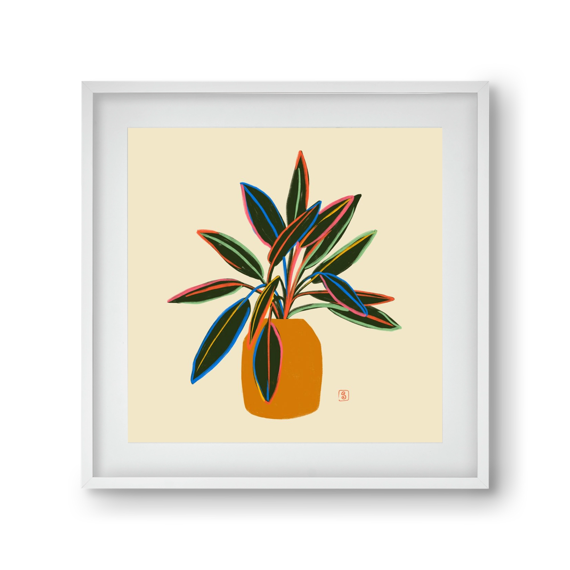 PLANT WITH COLOURFUL LEAVES, 30x30 cm (20x20 cm), Fehér keret, paszpartuval