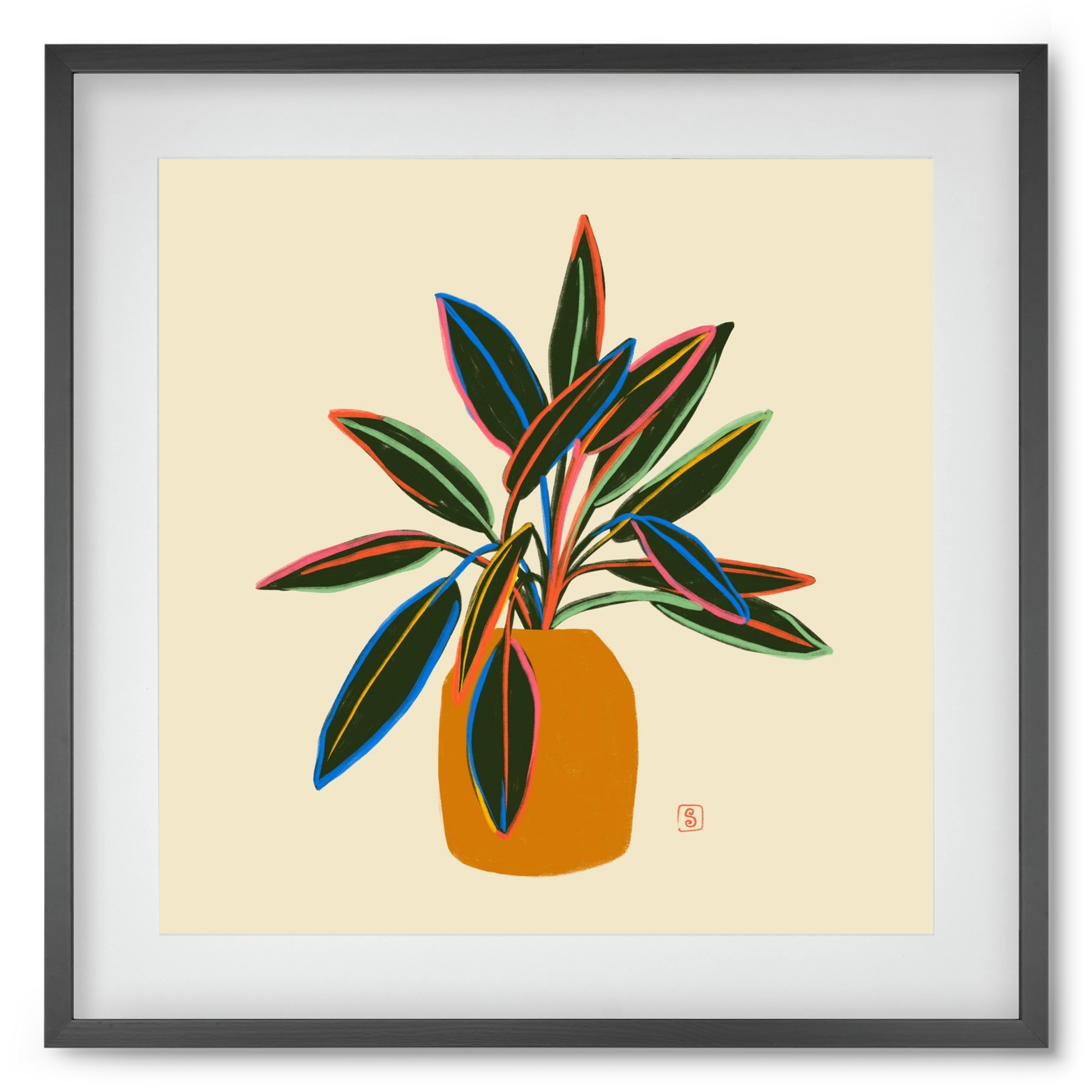 PLANT WITH COLOURFUL LEAVES, 50x50 cm (40x40 cm), Fekete keret, paszpartuval