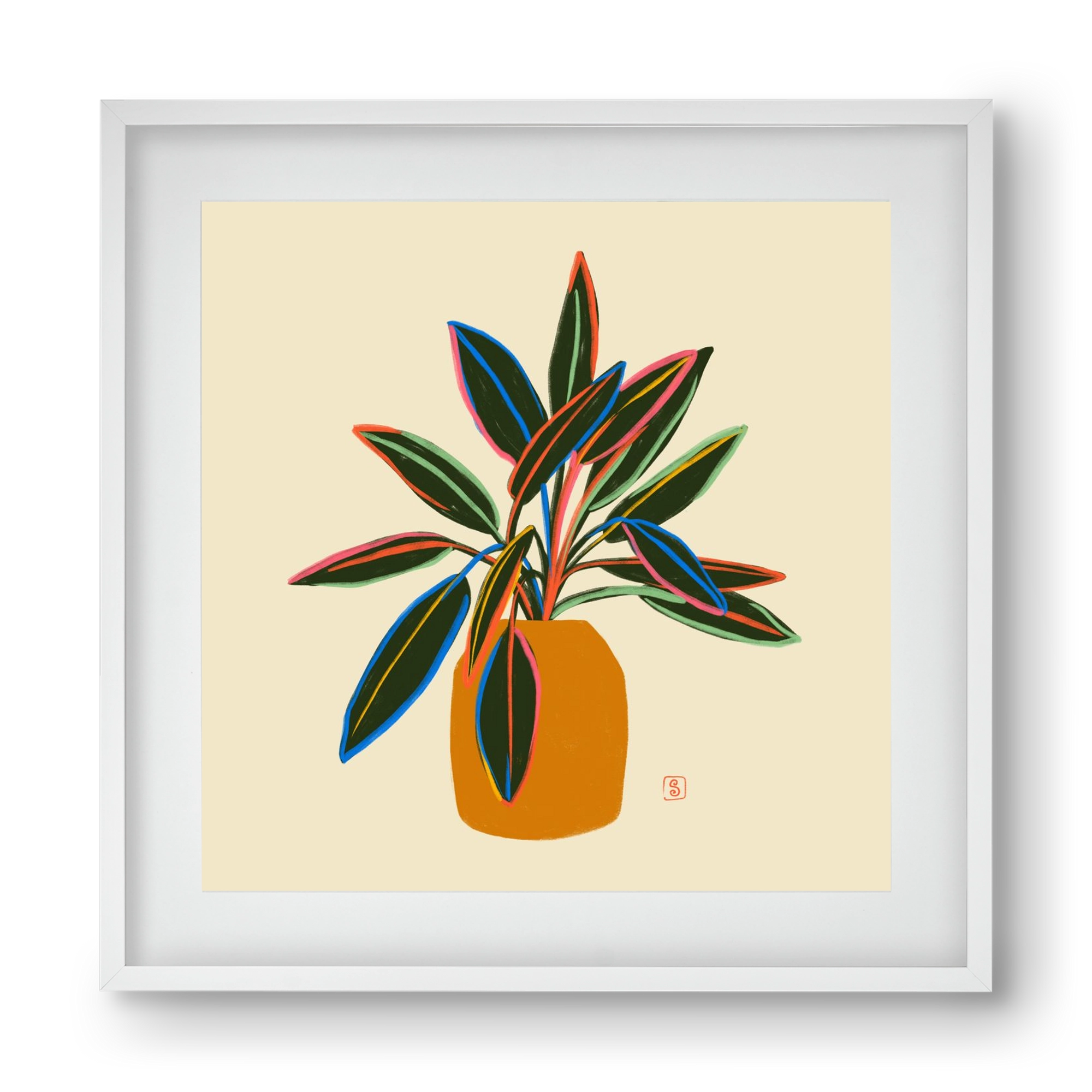 PLANT WITH COLOURFUL LEAVES, 40x40 cm (30x30 cm), Fehér keret, paszpartuval