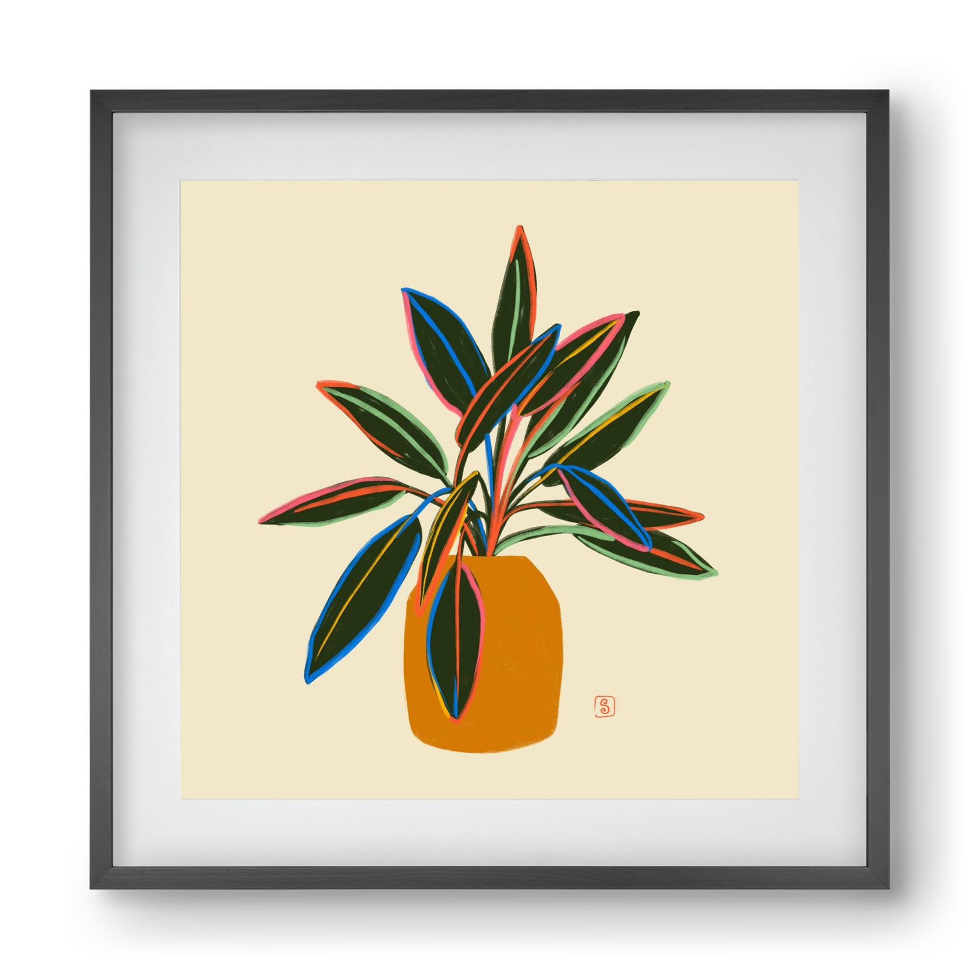 PLANT WITH COLOURFUL LEAVES, 40x40 cm (30x30 cm), Fekete keret, paszpartuval