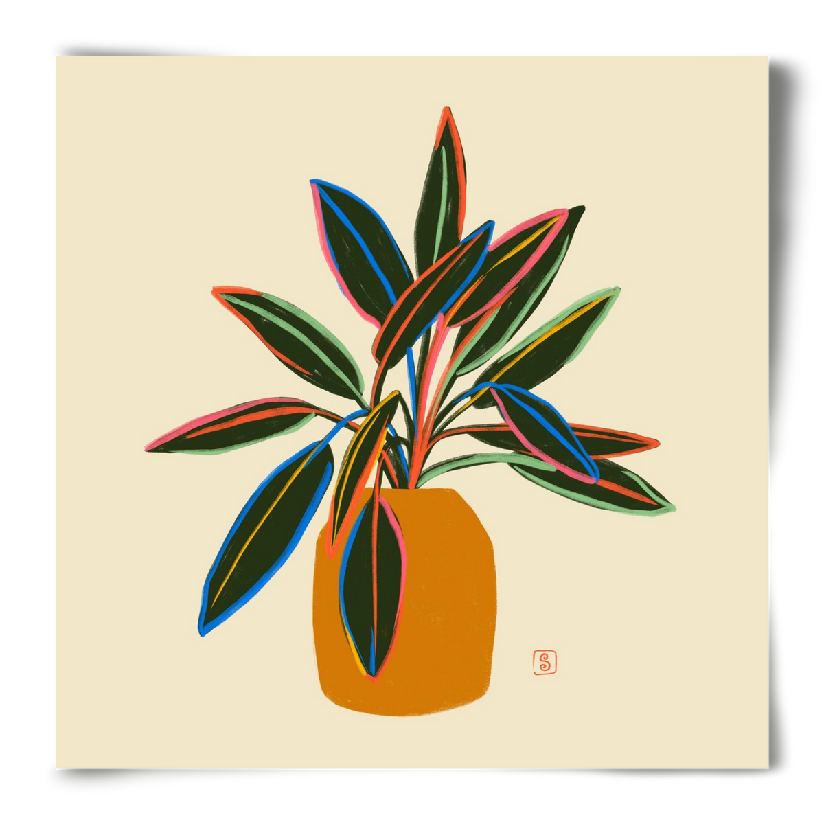 PLANT WITH COLOURFUL LEAVES, 50x50 cm, Keret nélkül