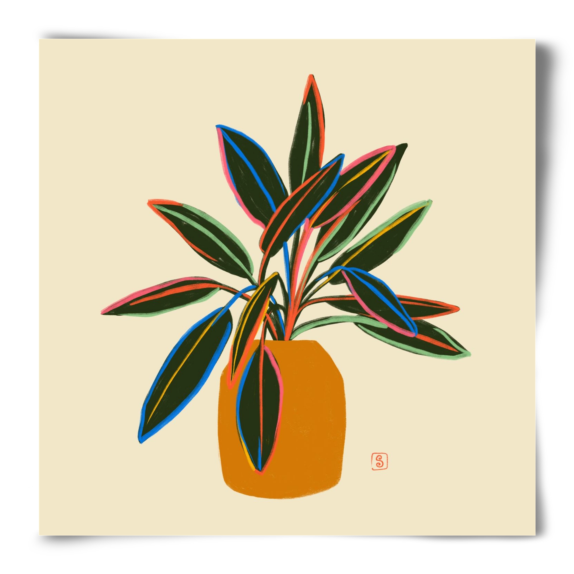 PLANT WITH COLOURFUL LEAVES, 50x50 cm, Keret nélkül