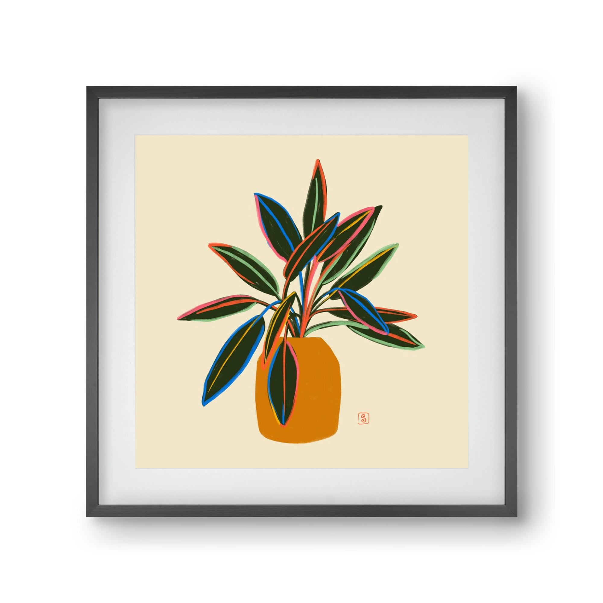 PLANT WITH COLOURFUL LEAVES, 30x30 cm (20x20 cm), Fekete keret, paszpartuval