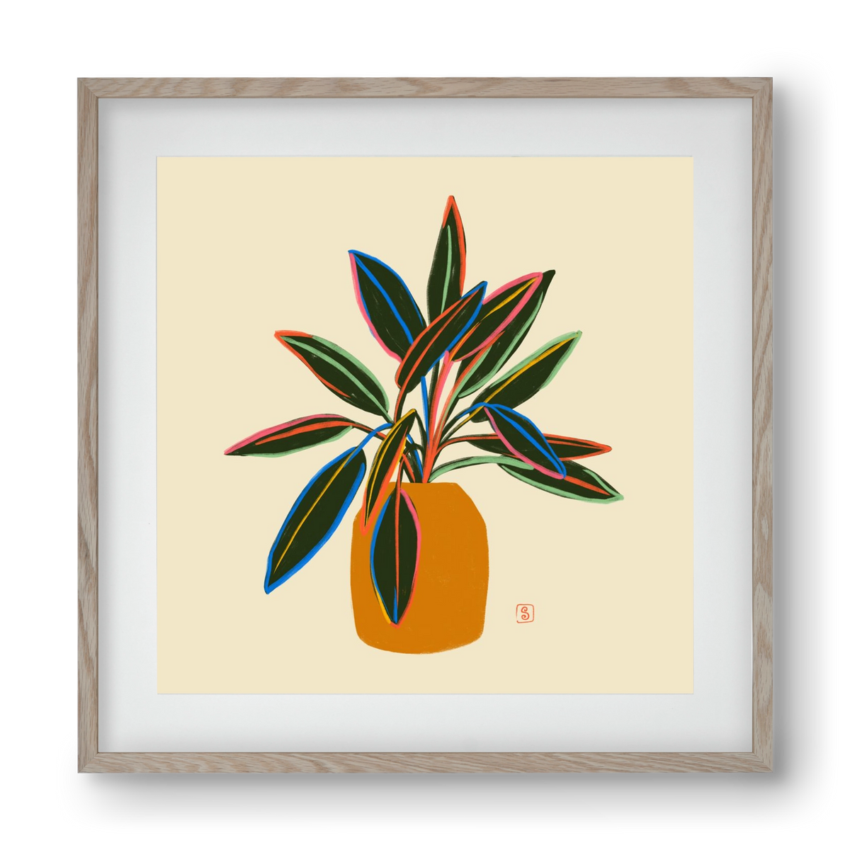 PLANT WITH COLOURFUL LEAVES, 40x40 cm (30x30 cm), Tölgy keret, paszpartuval