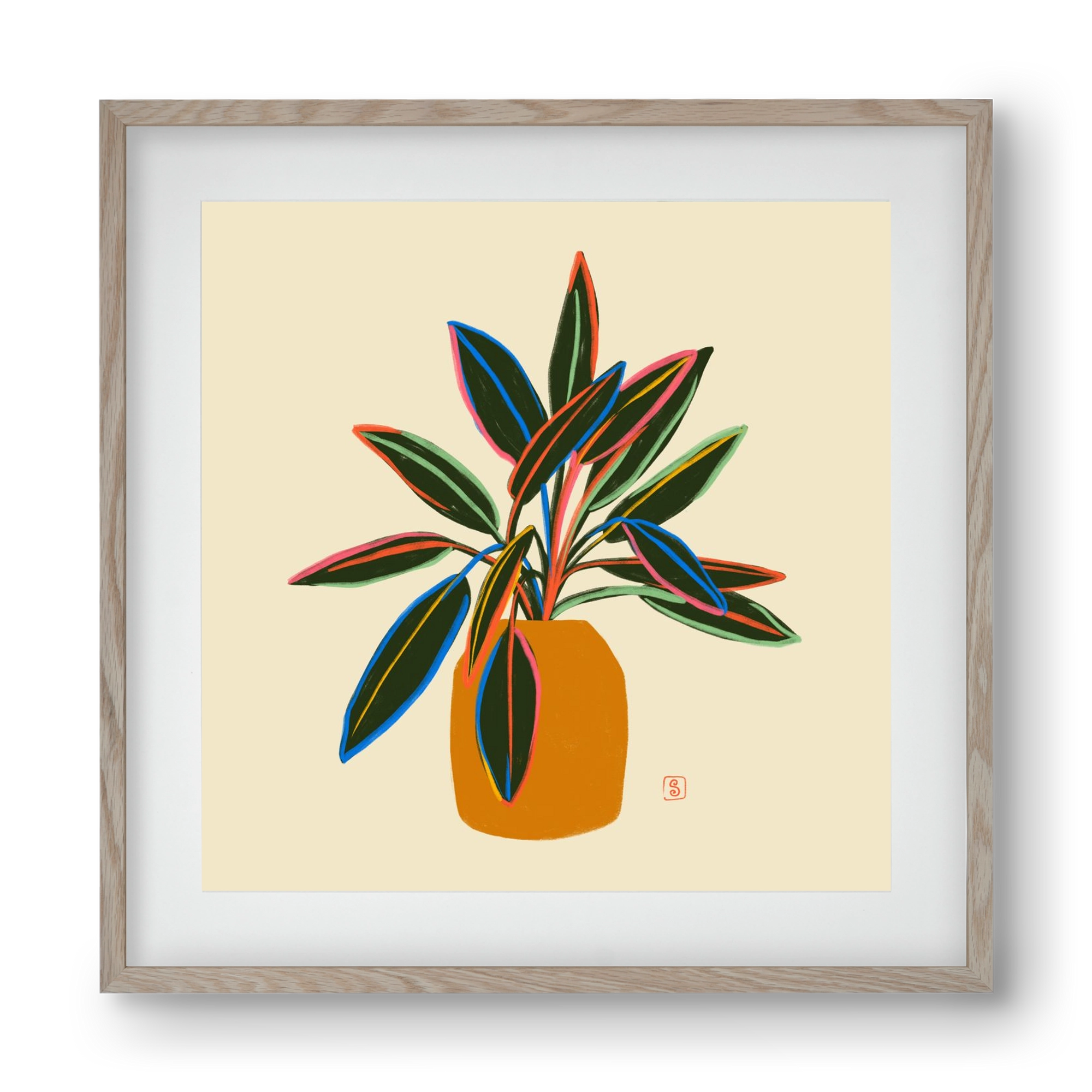PLANT WITH COLOURFUL LEAVES, 40x40 cm (30x30 cm), Tölgy keret, paszpartuval