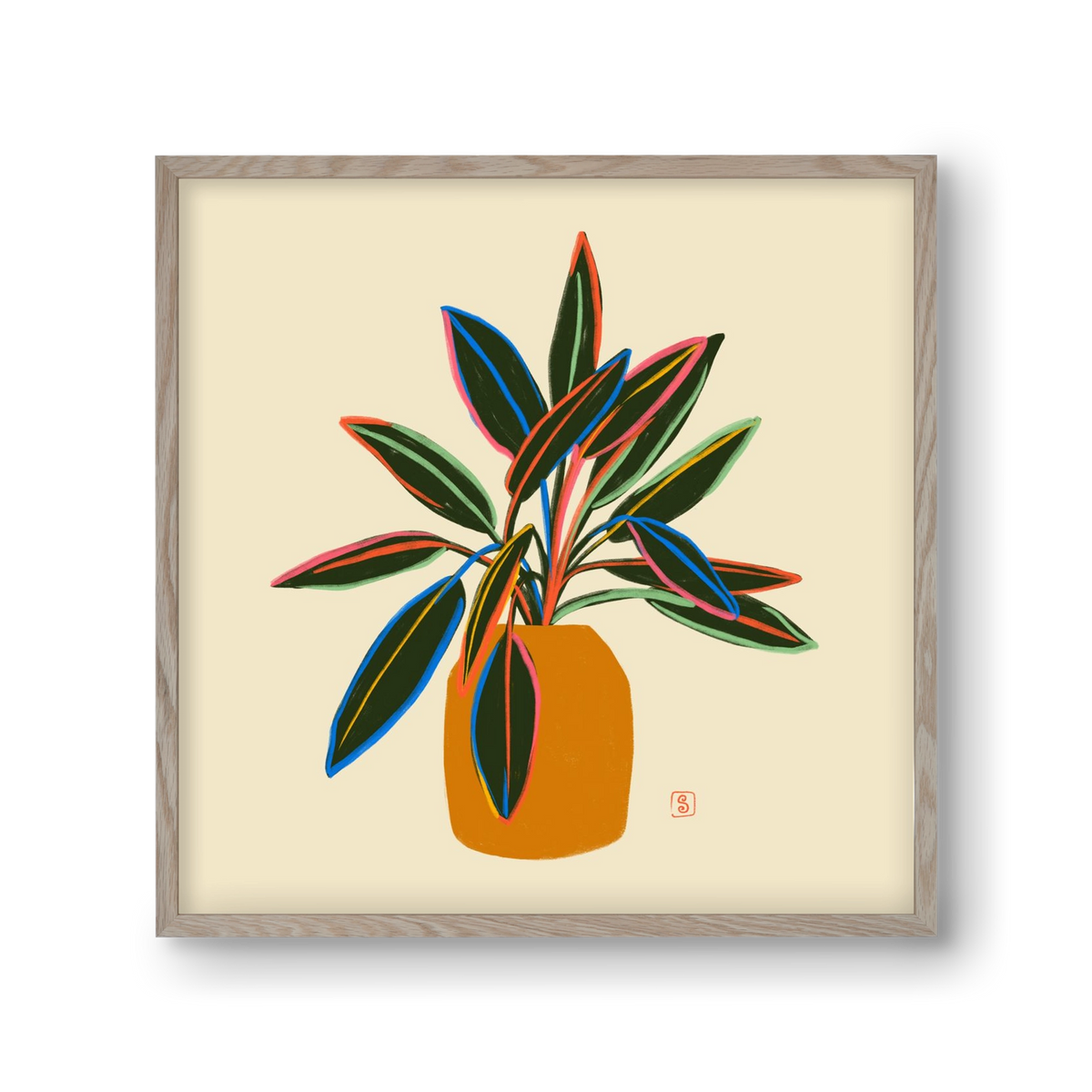 PLANT WITH COLOURFUL LEAVES, 30x30 cm (30x30 cm), Tölgy keret