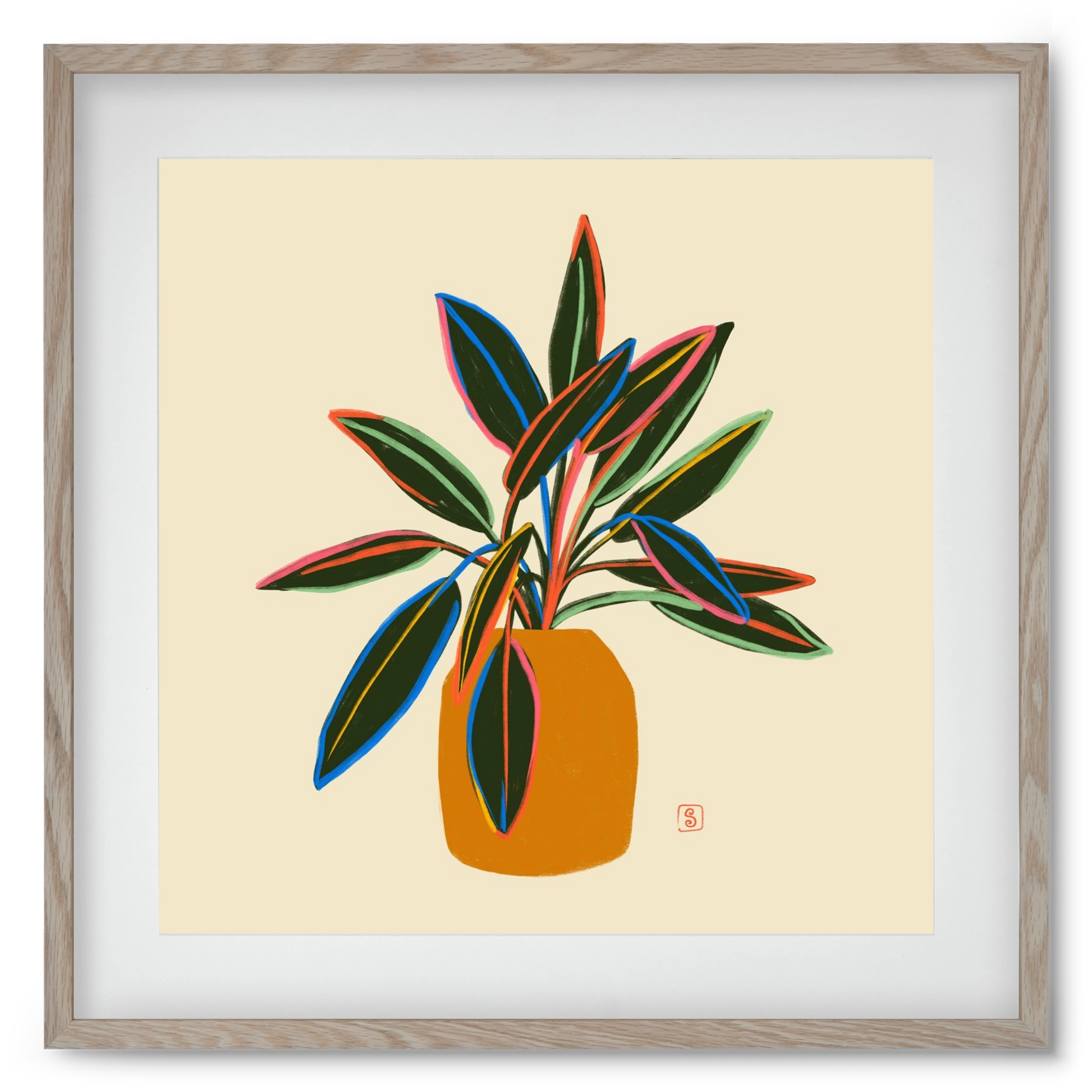 PLANT WITH COLOURFUL LEAVES, 50x50 cm (40x40 cm), Tölgy keret, paszpartuval