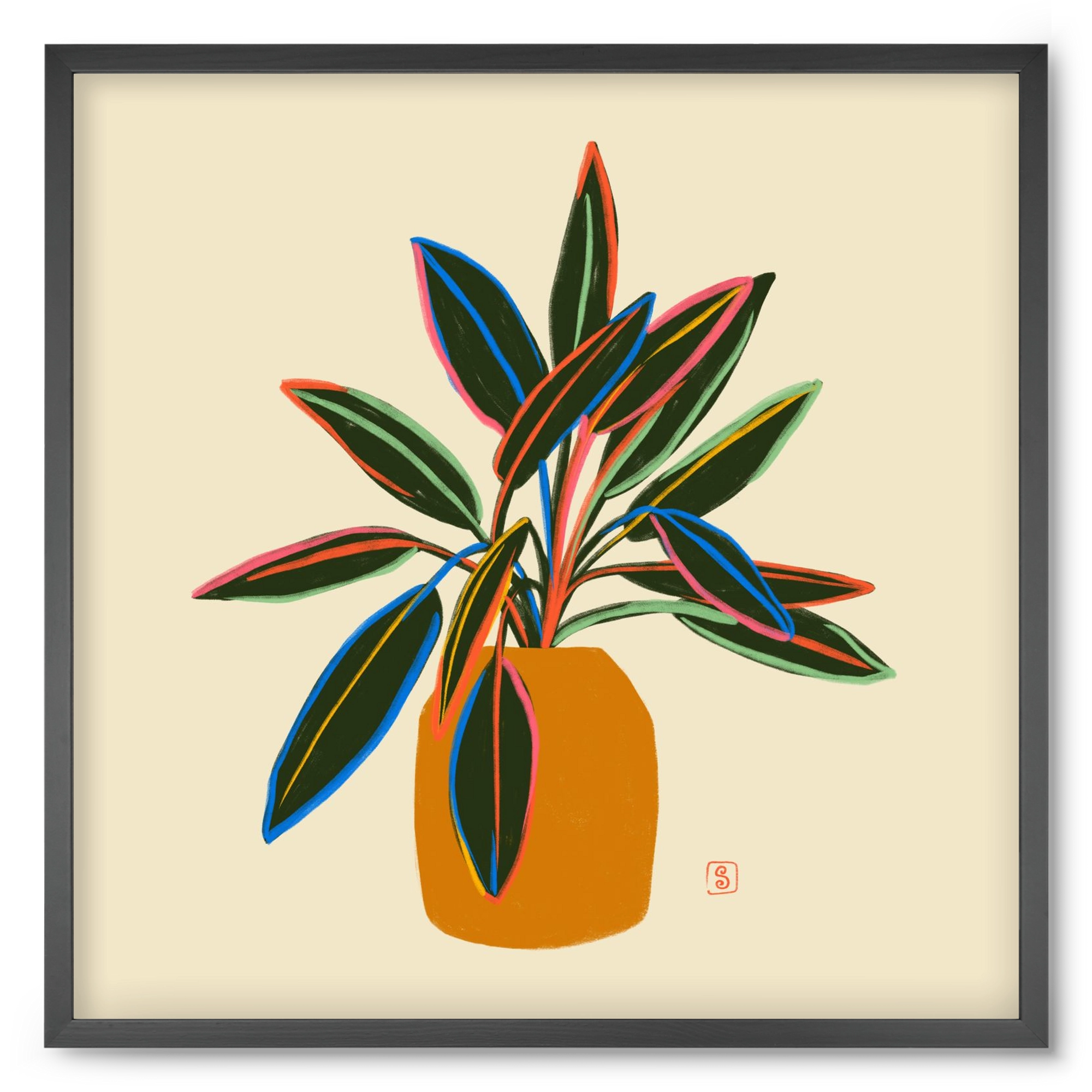 PLANT WITH COLOURFUL LEAVES, 50x50 cm (50x50 cm), Fekete keret