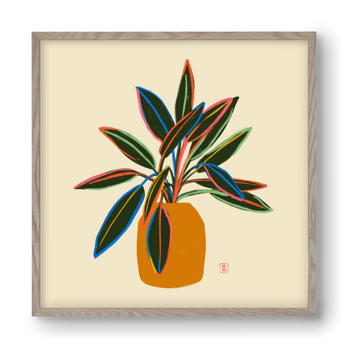 PLANT WITH COLOURFUL LEAVES, 40x40 cm (40x40 cm), Tölgy keret