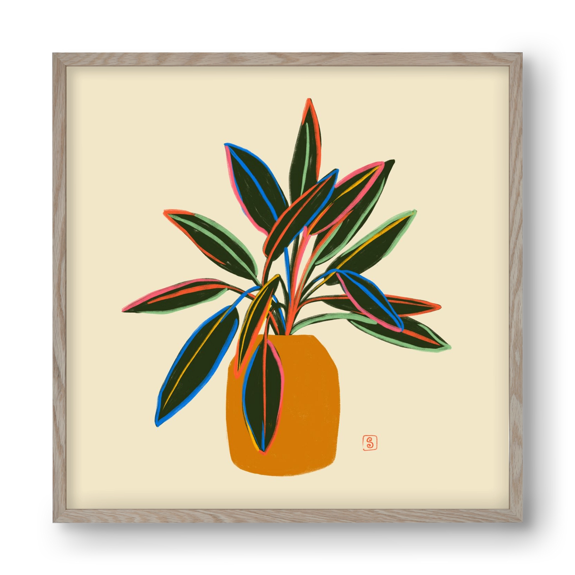 PLANT WITH COLOURFUL LEAVES, 40x40 cm (40x40 cm), Tölgy keret