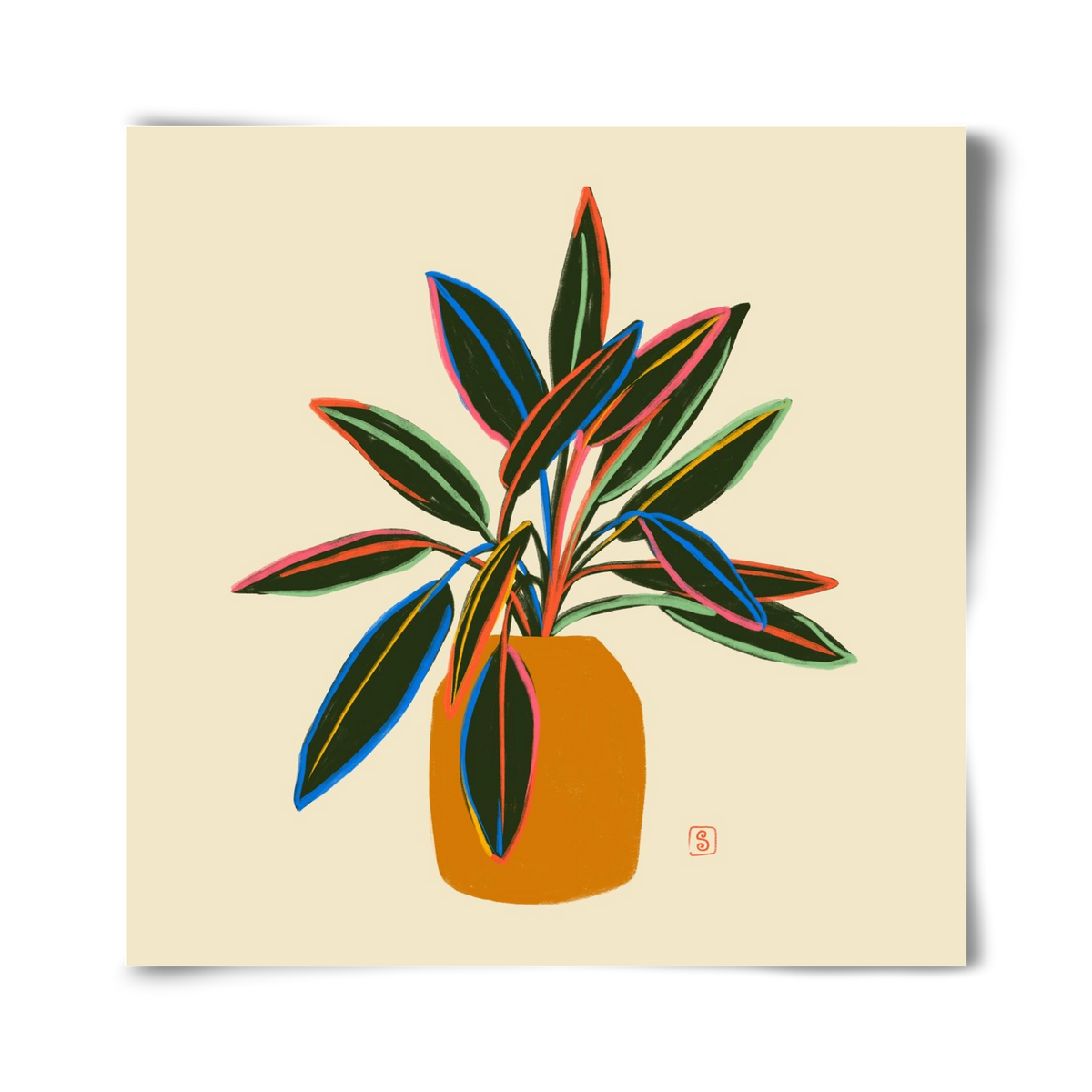 PLANT WITH COLOURFUL LEAVES, 40x40 cm, Keret nélkül