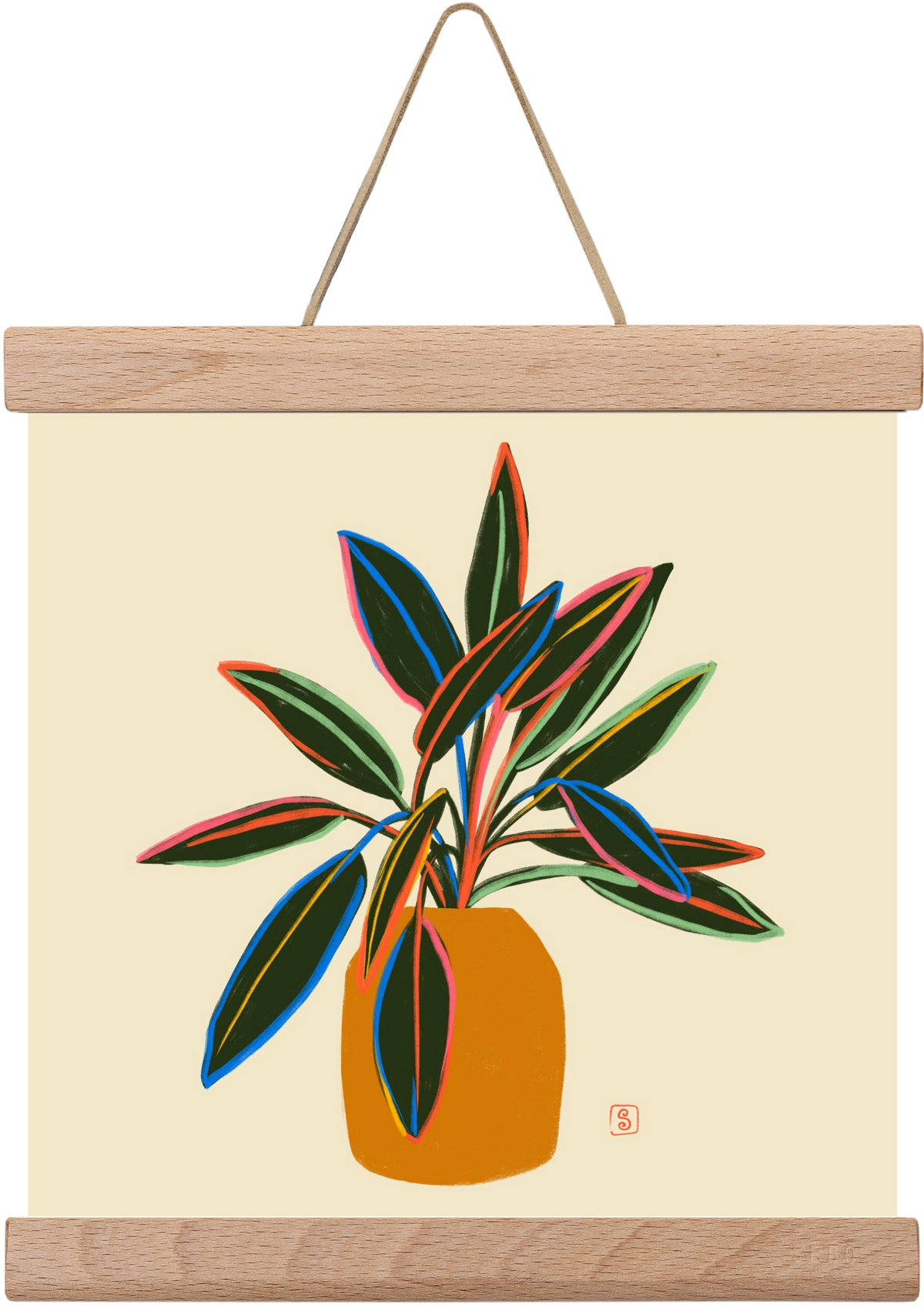 PLANT WITH COLOURFUL LEAVES, 20x20 cm (20x20 cm), Tölgy akasztó