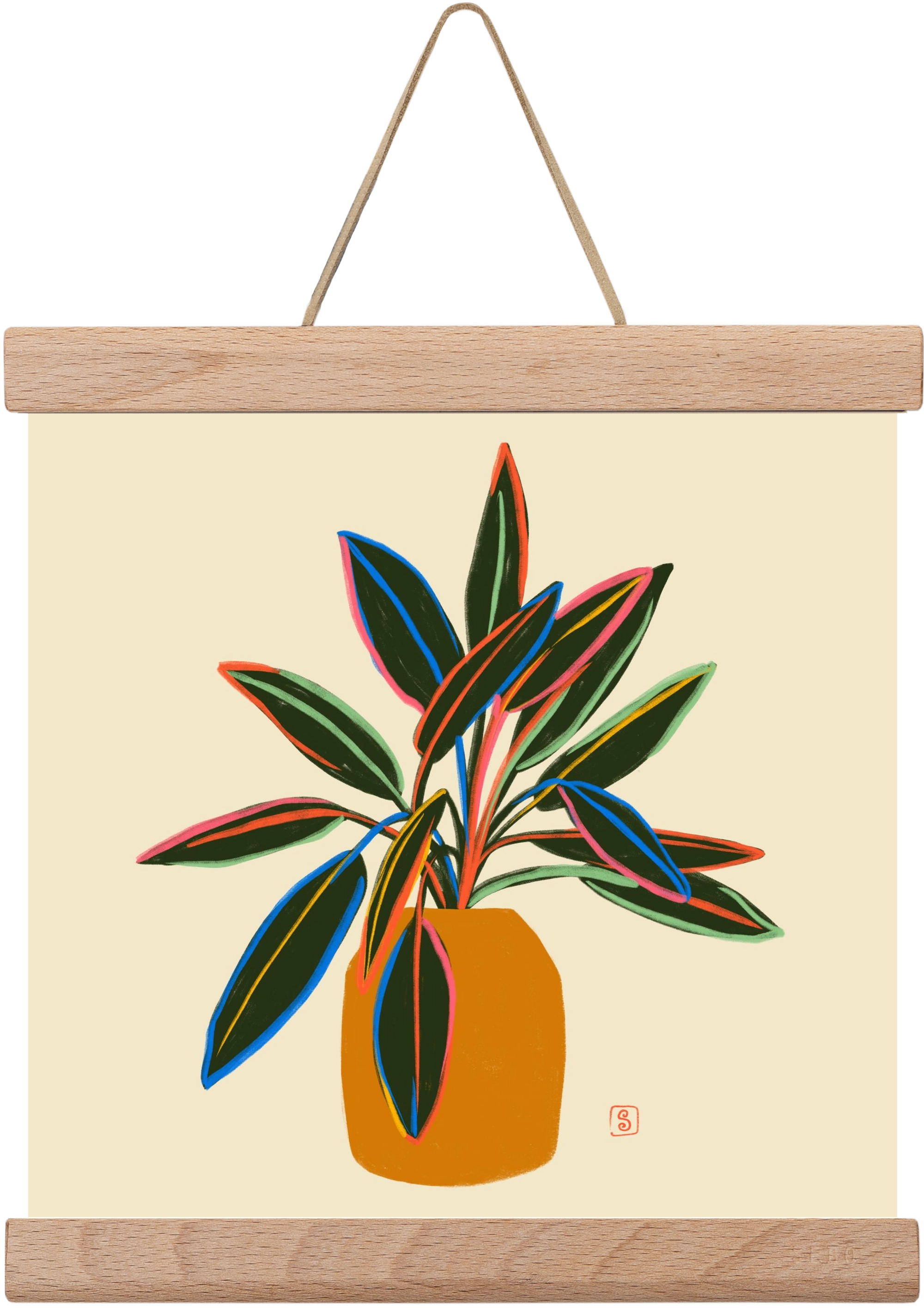 PLANT WITH COLOURFUL LEAVES, 20x20 cm (20x20 cm), Tölgy akasztó