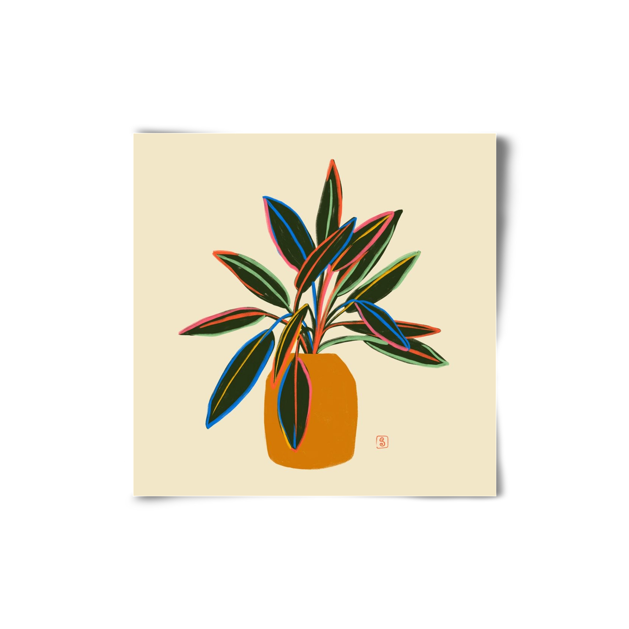 PLANT WITH COLOURFUL LEAVES, 20x20 cm, Keret nélkül