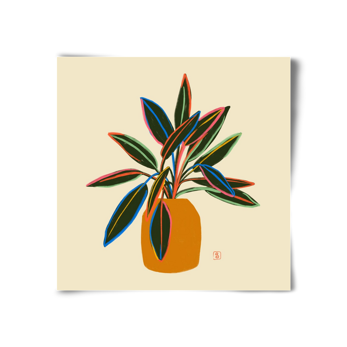 PLANT WITH COLOURFUL LEAVES, 30x30 cm, Keret nélkül