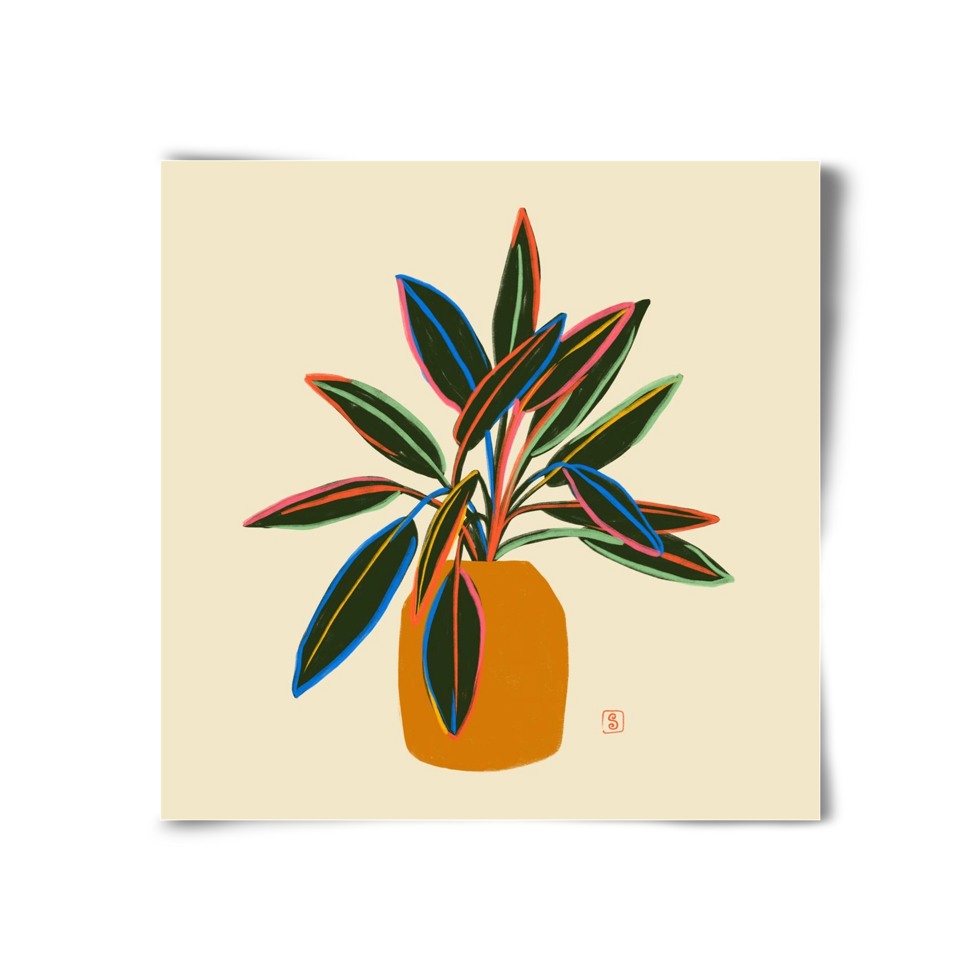 PLANT WITH COLOURFUL LEAVES, 30x30 cm, Keret nélkül