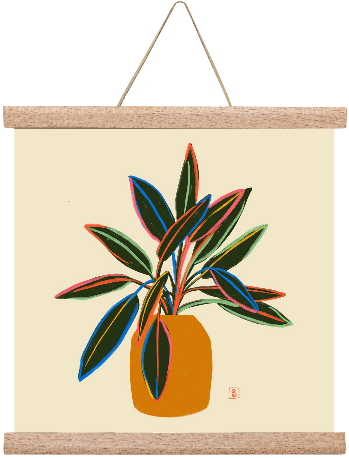 PLANT WITH COLOURFUL LEAVES, 30x30 cm (30x30 cm), Tölgy akasztó