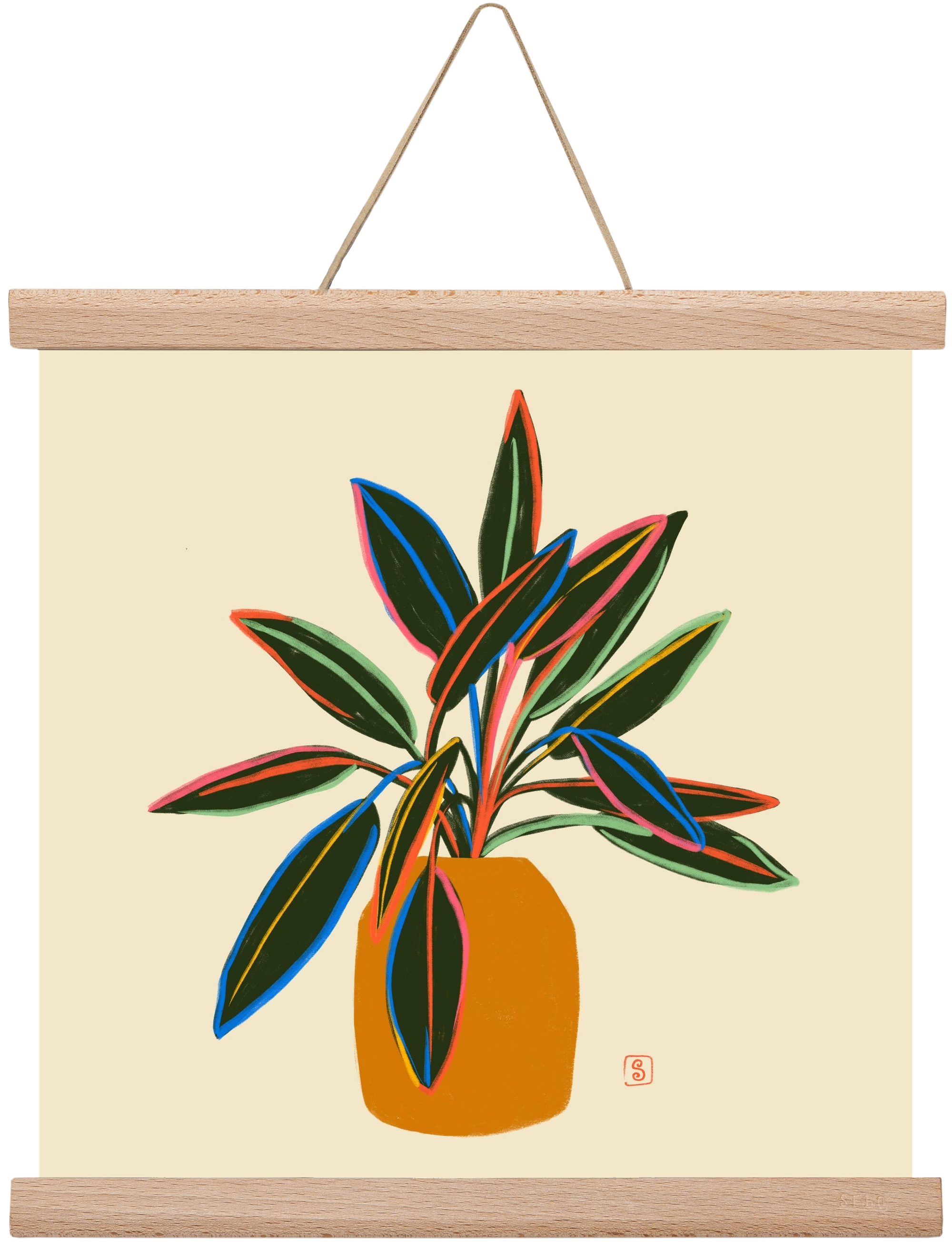 PLANT WITH COLOURFUL LEAVES, 30x30 cm (30x30 cm), Tölgy akasztó