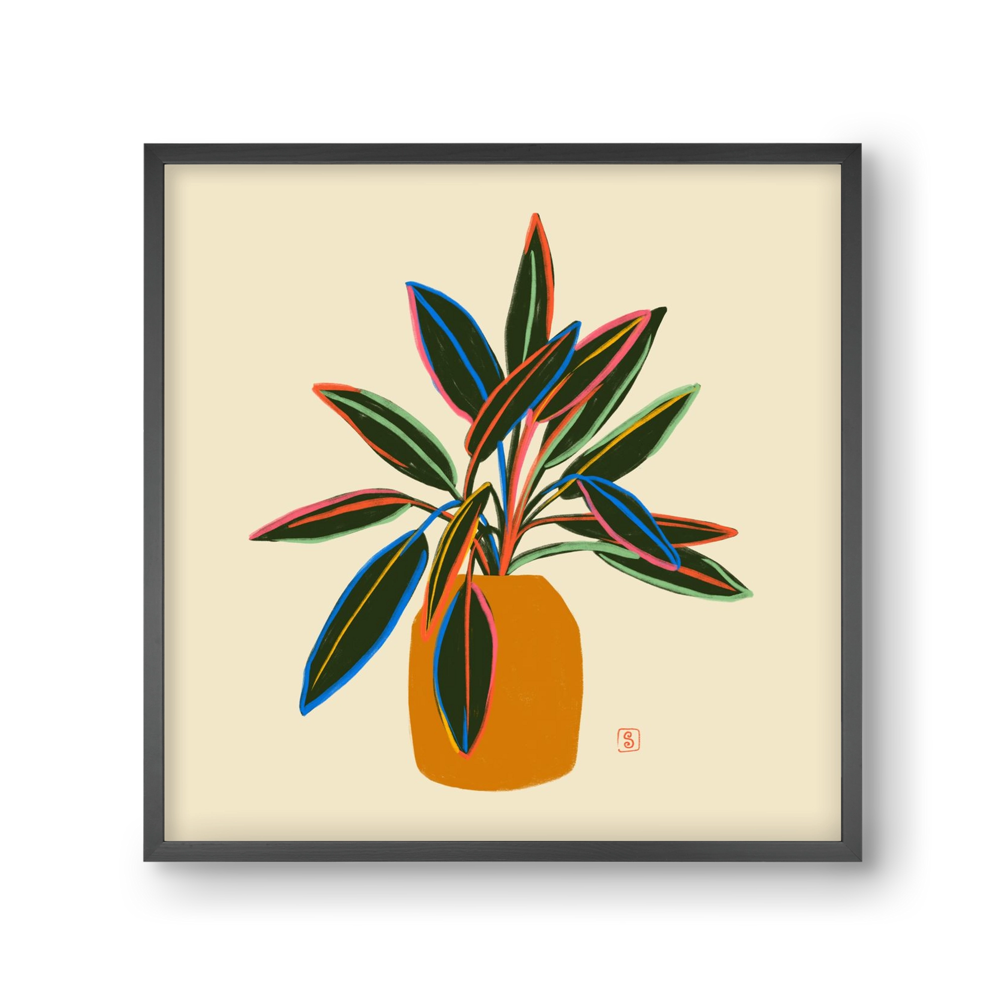 PLANT WITH COLOURFUL LEAVES, 30x30 cm (30x30 cm), Fekete keret