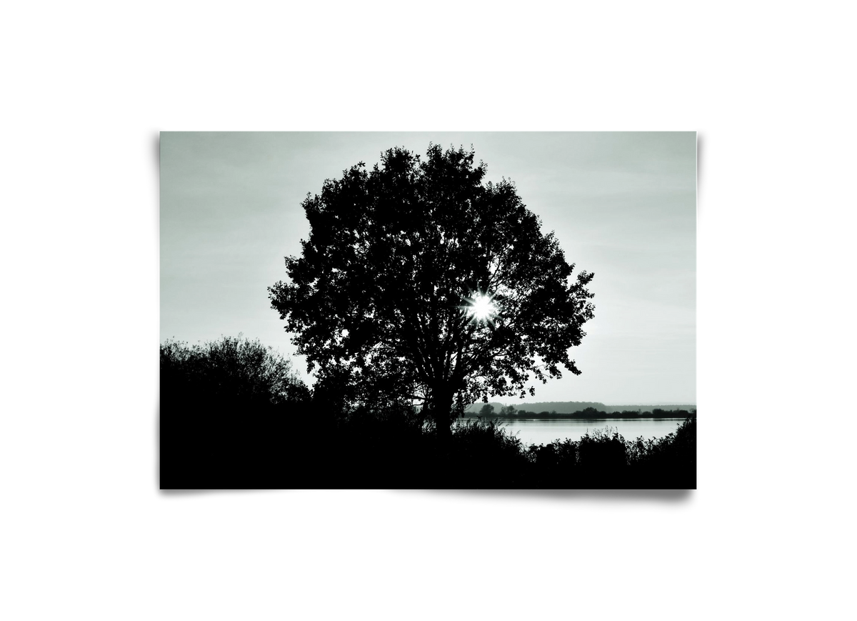 with heart, 30x20 cm, Keret nélkül