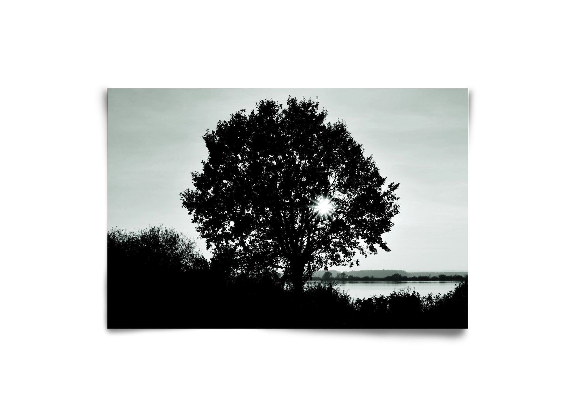 with heart, 30x20 cm, Keret nélkül