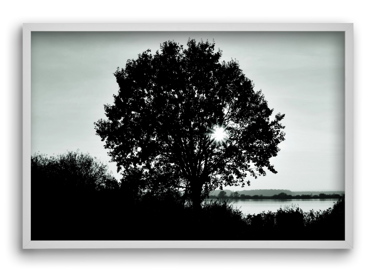 with heart, 60x40 cm (60x40 cm), Fehér keret