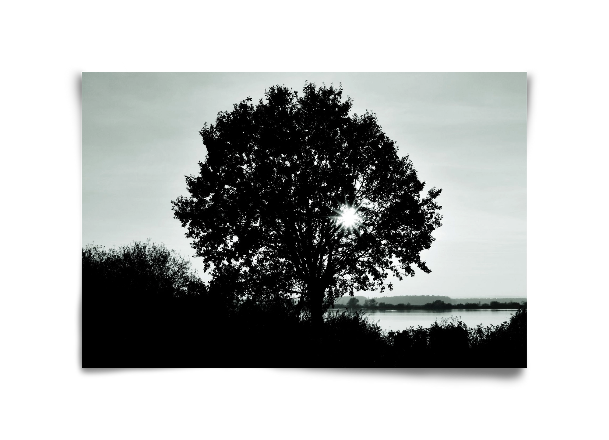 with heart, 45x30 cm, Keret nélkül