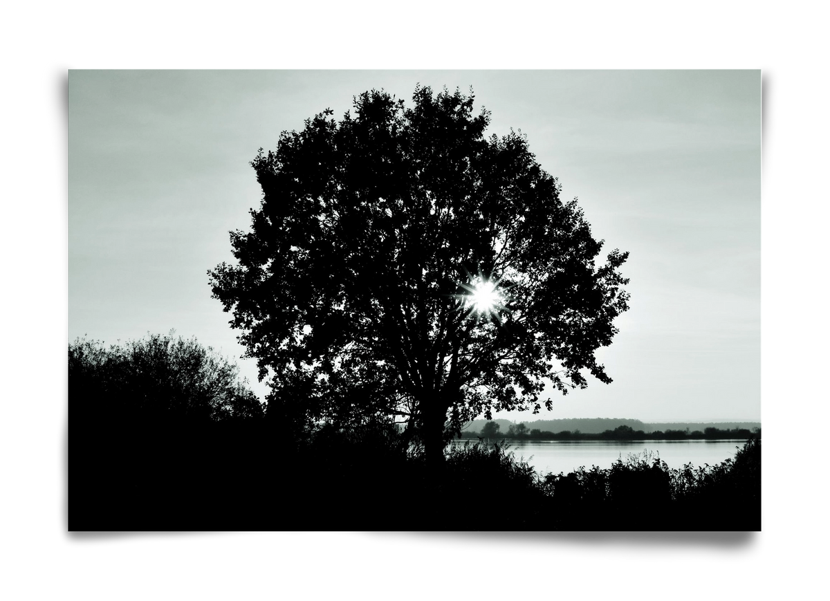 with heart, 60x40 cm, Keret nélkül