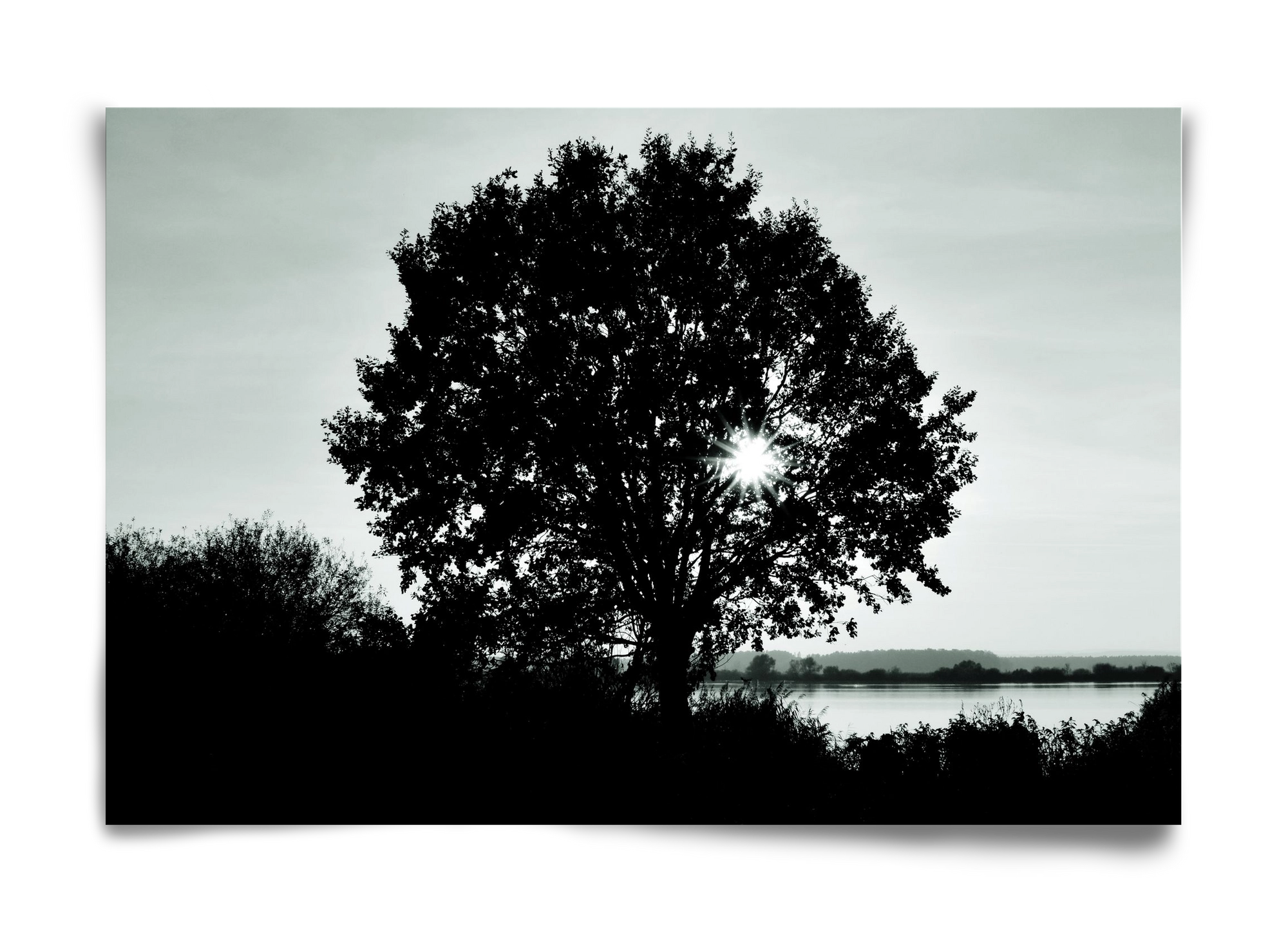 with heart, 60x40 cm, Keret nélkül