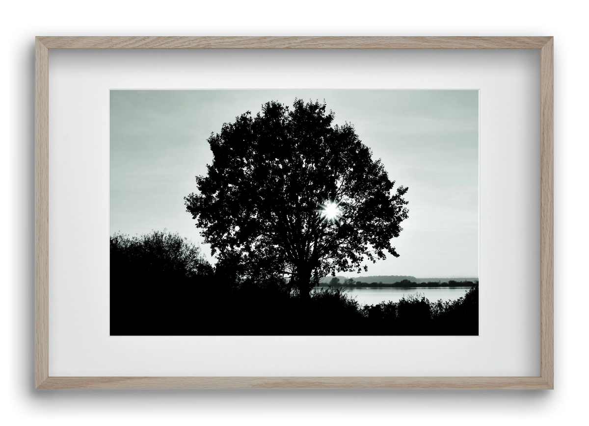 with heart, 60x40 cm (45x30 cm), Tölgy keret, paszpartuval