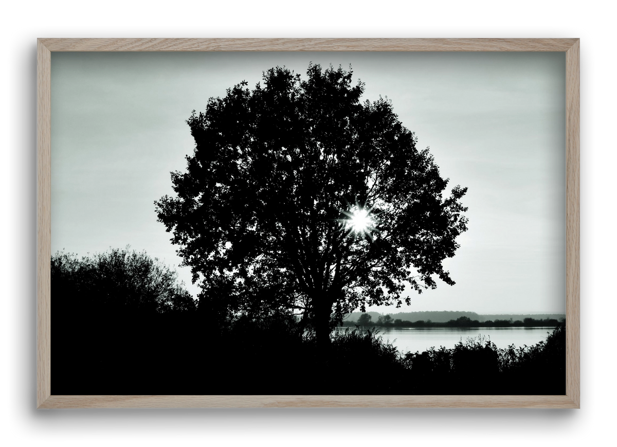 with heart, 60x40 cm (60x40 cm), Tölgy keret